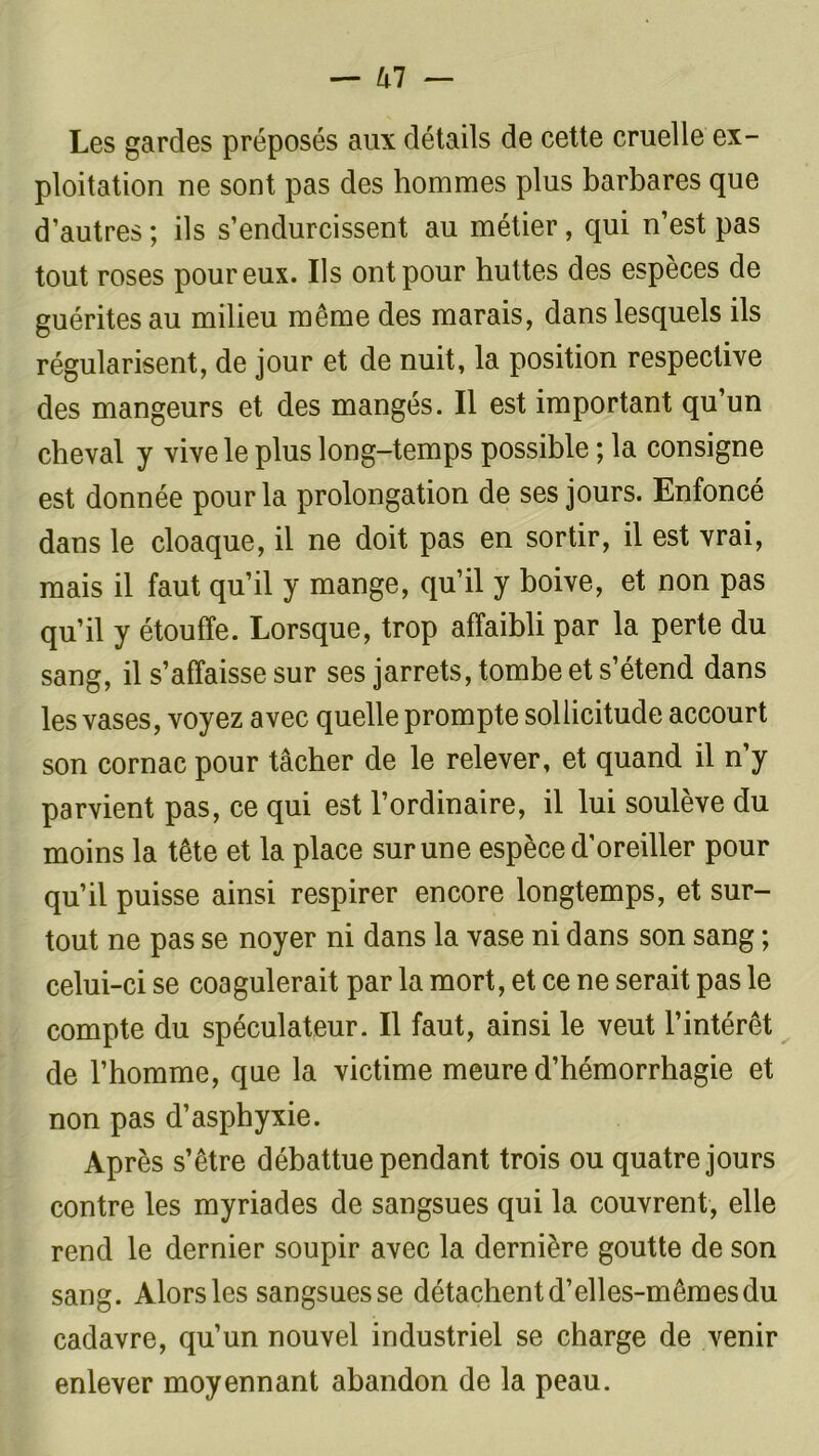 Les gardes préposés aux détails de cette cruelle ex- ploitation ne sont pas des hommes plus barbares que d’autres ; ils s’endurcissent au métier, qui n’est pas tout roses pour eux. Ils ont pour huttes des espèces de guérites au milieu même des marais, dans lesquels ils régularisent, de jour et de nuit, la position respective des mangeurs et des mangés. Il est important qu’un cheval y vive le plus long-temps possible ; la consigne est donnée pour la prolongation de ses jours. Enfoncé dans le cloaque, il ne doit pas en sortir, il est vrai, mais il faut qu’il y mange, qu’il y boive, et non pas qu’il y étouffe. Lorsque, trop affaibli par la perte du sang, il s’affaisse sur ses jarrets, tombe et s’étend dans les vases, voyez avec quelle prompte sollicitude accourt son cornac pour tâcher de le relever, et quand il n’y parvient pas, ce qui est l’ordinaire, il lui soulève du moins la tête et la place sur une espèce d’oreiller pour qu’il puisse ainsi respirer encore longtemps, et sur- tout ne pas se noyer ni dans la vase ni dans son sang ; celui-ci se coagulerait par la mort, et ce ne serait pas le compte du spéculateur. Il faut, ainsi le veut l’intérêt de l’homme, que la victime meure d’hémorrhagie et non pas d’asphyxie. Après s’être débattue pendant trois ou quatre jours contre les myriades de sangsues qui la couvrent, elle rend le dernier soupir avec la dernière goutte de son sang. Alors les sangsues se détachent d’elles-mêmes du cadavre, qu’un nouvel industriel se charge de venir enlever moyennant abandon de la peau.