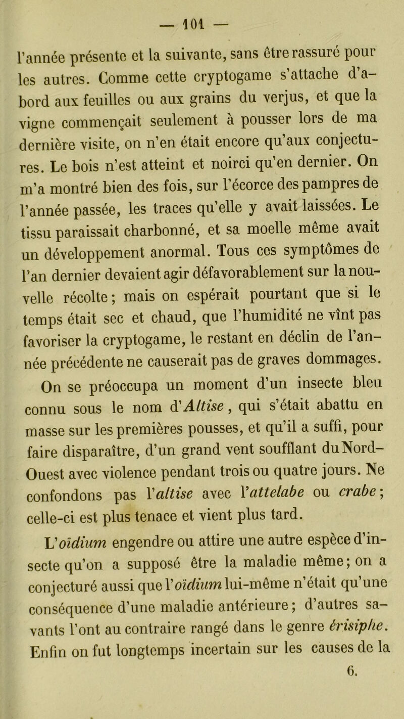 l’année présente et la suivante, sans etre rassure poui les autres. Comme cette cryptogame s attache d a— bord aux feuilles ou aux grains du verjus, et que la vigne commençait seulement à pousser lors de ma dernière visite, on n’en était encore qu aux conjectu- res. Le bois n’est atteint et noirci qu’en dernier. On m’a montré bien des fois, sur l’écorce des pampres de l’année passée, les traces qu’elle y avait laissées. Le tissu paraissait charbonné, et sa moelle même avait un développement anormal. Tous ces symptômes de l’an dernier devaient agir défavorablement sur la nou- velle récolte; mais on espérait pourtant que si le temps était sec et chaud, que l’humidité ne vînt pas favoriser la cryptogame, le restant en déclin de l’an- née précédente ne causerait pas de graves dommages. On se préoccupa un moment d’un insecte bleu connu sous le nom d'Attise, qui s’était abattu en masse sur les premières pousses, et qu’il a suffi, pour faire disparaître, d’un grand vent soufflant duNord- Ouest avec violence pendant trois ou quatre jours. Ne confondons pas Y attise avec Yattelabe ou crabe ; celle-ci est plus tenace et vient plus tard. L’oïdium engendre ou attire une autre espèce d’in- secte qu’on a supposé être la maladie même; on a conjecturé aussi que l’oïdium lui-même n’était qu’une conséquence d’une maladie antérieure ; d’autres sa- vants l’ont au contraire rangé dans le genre érisiphe. Enfin on fut longtemps incertain sur les causes de la G.