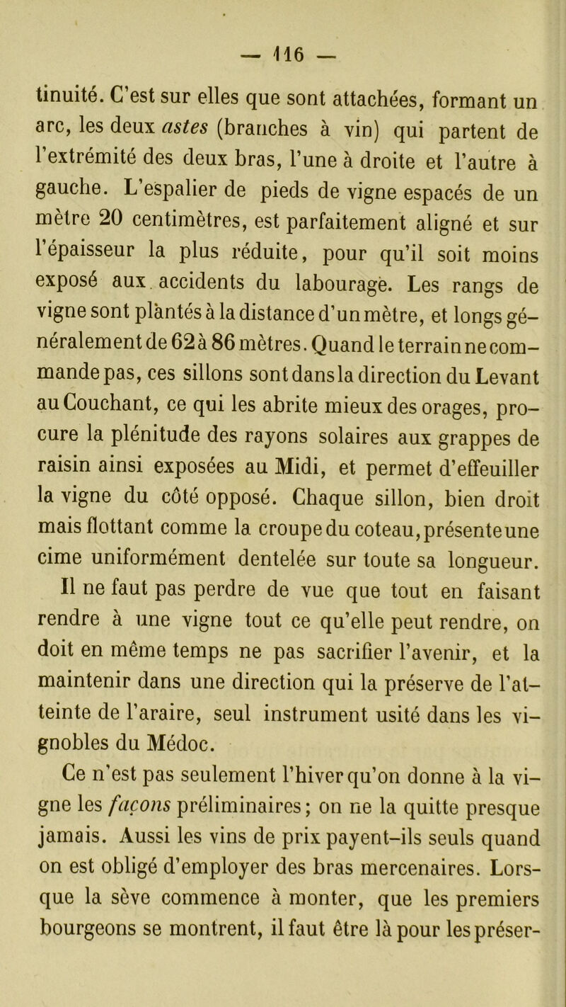 tinuité. C’est sur elles que sont attachées, formant un arc, les deux cistes (branches à vin) qui partent de l’extrémité des deux bras, l’une à droite et l’autre à gauche. L’espalier de pieds de vigne espacés de un mètre 20 centimètres, est parfaitement aligné et sur l’épaisseur la plus réduite, pour qu’il soit moins exposé aux accidents du labourage. Les rangs de vigne sont plantés à la distance d’un mètre, et longs gé- néralement de 62 à 86 mètres. Quand le terrain ne com- mande pas, ces sillons sont dans la direction du Levant au Couchant, ce qui les abrite mieux des orages, pro- cure la plénitude des rayons solaires aux grappes de raisin ainsi exposées au Midi, et permet d’effeuiller la vigne du côté opposé. Chaque sillon, bien droit mais flottant comme la croupe du coteau, présenteune cime uniformément dentelée sur toute sa longueur. Il ne faut pas perdre de vue que tout en faisant rendre à une vigne tout ce qu’elle peut rendre, on doit en même temps ne pas sacrifier l’avenir, et la maintenir dans une direction qui la préserve de l’at- teinte de l’araire, seul instrument usité dans les vi- gnobles du Médoc. Ce n’est pas seulement l’hiver qu’on donne à la vi- gne les façons préliminaires; on ne la quitte presque jamais. Aussi les vins de prix payent-ils seuls quand on est obligé d’employer des bras mercenaires. Lors- que la sève commence à monter, que les premiers bourgeons se montrent, il faut être là pour lespréser-