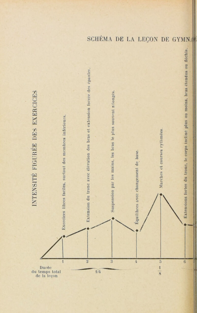 INTENSITE FIGUREE DES EXERCICES SCHEMA DE LA LEÇON DE GYMNl Marches et courses rythmées.