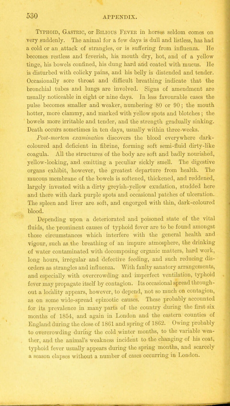 Typhoid, Gastric, or Bilious Fever in horses seldom comes on very suddenly. The animal for a few days is dull and listless, has had a cold or an attack of strangles, or is suffering from influenza. He becomes restless and feverish, his mouth dry, hot, and of a yellow tinge, his bowels confined, his dung hard and coated with mucus. He is disturbed with colicky pains, and his belly is distended and tender. Occasionally sore throat and difficult breathing indicate that the bronchial tubes and lungs are involved. Signs of amendment are usually noticeable in eight or nine days. In less favourable cases the pulse becomes smaller and weaker, numbering 80 or 90; the mouth hotter, more clammy, and marked with yellow spots and blotches; the 1 bowels more irritable and tender, and the strength gradually sinking. Death occurs sometimes in ten days, usually within three-weeks. Post-mortem examination discovers the blood everywhere dark- coloured and deficient in fibrine, forming soft semi-fluid dirty-like coagula. All the structures of the body are soft and badly nourished, yellow-looking, and emitting a peculiar sickly smell. The digestive organs exhibit, however, the greatest departure from health. The mucous membrane of the bowels is softened, thickened, and reddened, largely invested with a dirty greyish-yellow exudation, studded here and there with dark purple spots and occasional patches of ulceration. The spleen and fiver are soft, and engorged with thin, dark-coloured blood. Depending upon a deteriorated and poisoned state of the vital fluids, the prominent causes of typhoid fever are to be found amongst those circumstances which interfere with the general health and vigour, such as the breathing of an impure atmosphere, the drinking of water contaminated with decomposing organic matters, hard work, long hours, irregular and defective feeding, and such reducing dis- orders as strangles and influenza. With faulty sanatory arrangements, and especially with overcrowding and imperfect ventilation, typhoid fever may propagate itself by contagion. Its occasional spread through- out a locality appears, however, to depend, not so much on contagion, as on some wide-spread epizootic causes. These probably accounted for its prevalence in many parts of the country during the first six months of 1854, and again in London and the eastern counties of England during the close of 1861 aud spring of 1862. Owing probably to overcrowding during the cold winter months, to the variable wea- ther, and the animal’s weakness incident to the changing of his coat, typhoid fever usually appears during the spring months, and scarcely a season elapses without a number of cases occurring in London.