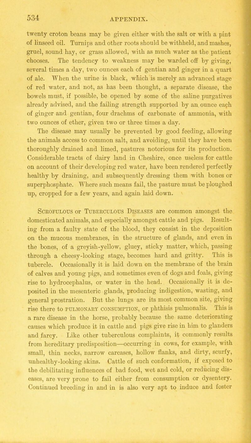 twenty croton beans may be given either with the salt or with a pint of linseed oil. Turnips and other roots should be withheld, and mashes, gruel, sound hay, or grass allowed, with as much water as the patient chooses. The tendency to weakness may be warded off by giving, several times a day, two ounces each of gentian and ginger in a quart of ale. When the urine is black, which is merely an advanced stage of red water, and not, as has been thought, a separate disease, the bowels must, if possible, be opened by some of the saline purgatives already advised, and the failing strength supported by an ounce each of ginger and gentian, four drachms of carbonate of ammonia, with two ounces of ether, given two or three times a day. The disease may usually be prevented by good feeding, allowing the animals access to common salt, and avoiding, until they have been thoroughly drained and limed, pastures notorious for its production. Considerable tracts of dairy land in Cheshire, once useless for cattle on account of their developing red water, have been rendered perfectly healthy by draining, and subsequently dressing them with bones or superphosphate. Where such means fail, the pasture must be ploughed up, cropped for a few years, and again laid down. Scrofulous or Tuberculous Diseases are common amongst the domesticated animals, and especially amongst cattle and pigs. Result- ing from a faulty state of the blood, they consist in the deposition on the mucous membranes, in the structure of glands, and even in the bones, of a greyish-yellow, gluey, sticky matter, which, passing through a cheesy-looking stage, becomes hard and gritty. This is tubercle. Occasionally it is laid down on the membrane of the brain of calves and young pigs, and sometimes even of dogs and foals, giving rise to hydrocephalus, or water in the head. Occasionally it is de- posited in the mesenteric glands, producing indigestion, wasting, and general prostration. But the lungs are its most common site, giving rise there to pulmonary consumption, or phthisis pulmonalis. This is a rare disease in the horse, probably because the same deteriorating causes which produce it in cattle and pigs give rise in him to glanders and farcy. Like other tuberculous complaints, it commonly results from hereditary predisposition—occurring in cows, for example, with small, thin necks, narrow carcases, hollow flanks, and dirty, scurfy, unhealthy-looking skins. Cattle of such conformation, if exposed to the debilitating influences of bad food, wet and cold, or reducing dis- eases, are very prone to fail either from consumption or dysentery. Continued breeding in and in is also very apt to induce and foster