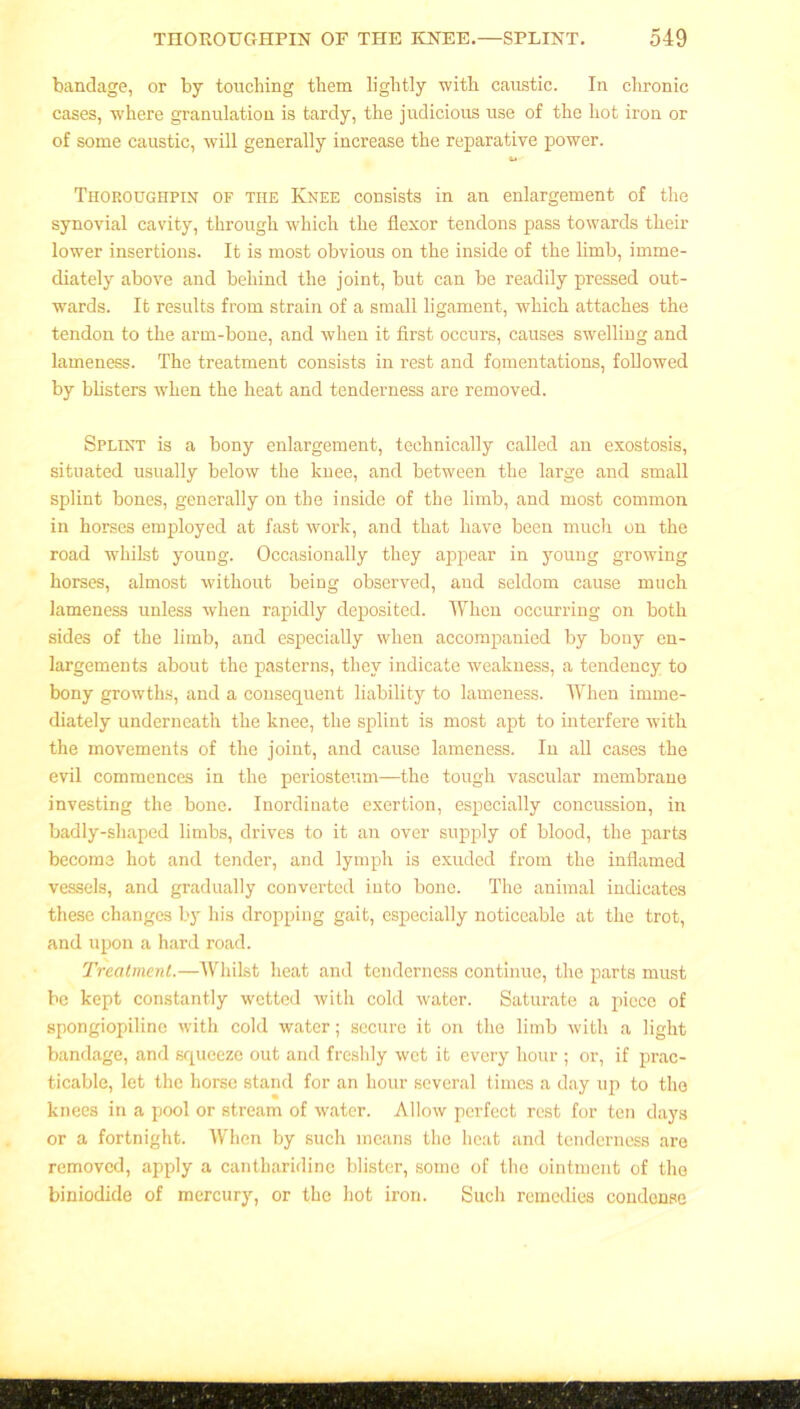 bandage, or by touching them lightly with caustic. In chronic cases, where granulation is tardy, the judicious use of the hot iron or of some caustic, will generally increase the reparative power. Thoroughpin of the Knee consists in an enlargement of the synovial cavity, through which the flexor tendons pass towards their lower insertions. It is most obvious on the inside of the limb, imme- diately above and behind the joint, but can be readily pressed out- wards. It results from strain of a small ligament, which attaches the tendon to the arm-bone, and when it first occurs, causes swelling and lameness. The treatment consists in rest and fomentations, followed by blisters when the heat and tenderness are removed. Splint is a bony enlargement, technically called an exostosis, situated usually below the knee, and between the large and small splint bones, generally on the inside of the limb, and most common in horses employed at fast work, and that have been much on the road whilst young. Occasionally they appear in young growing horses, almost without being observed, and seldom cause much lameness unless when rapidly deposited. When occurring on both sides of the limb, and especially when accompanied by bony en- largements about the pasterns, they indicate weakness, a tendency to bony growths, and a consequent liability to lameness. When imme- diately underneath the knee, the splint is most apt to interfere with the movements of the joint, and cause lameness. In all cases the evil commences in the periosteum—the tough vascular membrane investing the bone. Inordinate exertion, especially concussion, in badly-shaped limbs, drives to it an over supply of blood, the parts become hot and tender, and lymph is exuded from the inflamed vessels, and gradually converted into bone. The animal indicates these changes by his dropping gait, especially noticeable at the trot, and upon a hard road. Treatment.—Whilst heat and tenderness continue, the parts must be kept constantly wetted with cold water. Saturate a piece of spongiopiline with cold water; secure it on the limb with a light bandage, and squeeze out and freshly wet it every hour ; or, if prac- ticable, let the horse stand for an hour several times a day up to the knees in a pool or stream of water. Allow perfect rest for ten days or a fortnight. When by such means the heat and tenderness are removed, apply a cantharidine blister, some of the ointment of the biniodide of mercury, or the hot iron. Such remedies condense