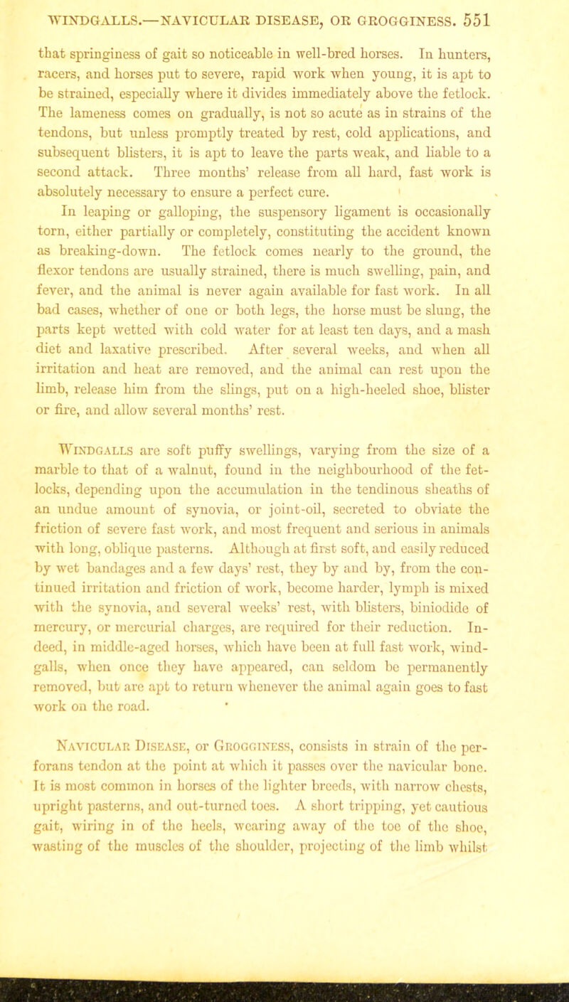 that springiness of gait so noticeable in well-bred horses. In hunters, racers, and horses put to severe, rapid work when young, it is apt to be strained, especially where it divides immediately above the fetlock. The lameness comes on gradually, is not so acute as in strains of the tendons, but unless promptly treated by rest, cold applications, and subsequent blisters, it is apt to leave the parts weak, and liable to a second attack. Three months’ release from all hard, fast work is absolutely necessary to ensure a perfect cure. In leaping or galloping, the suspensory ligament is occasionally torn, either partially or completely, constituting the accident known as breaking-down. The fetlock comes nearly to the ground, the flexor tendons are usually strained, there is much swelling, pain, and fever, and the animal is never again available for fast work. In all bad cases, whether of one or both legs, the horse must be slung, the parts kept wetted with cold v'ater for at least ten days, and a mash diet and laxative prescribed. After several weeks, and when all irritation and heat are removed, and the animal can rest upon the limb, release him from the slings, put on a high-heeled shoe, blister or fire, and allow several months’ rest. Wind galls are soft puffy swellings, varying from the size of a marble to that of a walnut, found in the neighbourhood of the fet- locks, depending upon the accumulation in the tendinous sheaths of an undue amount of synovia, or joint-oil, secreted to obviate the friction of severe fast work, and most frequent and serious in animals with long, oblique pasterns. Although at first soft, and easily reduced by wet bandages and a few days’ rest, they by and by, from the con- tinued irritation and friction of work, become harder, lymph is mixed with the synovia, and several weeks’ rest, with blisters, biniodide of mercury, or mercurial charges, are required for their reduction. In- deed, in middle-aged horses, which have been at full fast work, wind- galls, when once they have appeared, can seldom be permanently removed, but are apt to return whenever the animal again goes to fast work on the road. Navicular Disease, or Grogginess, consists in strain of the per- forans tendon at the point at which it passes over the navicular bone. It is most common in horses of the lighter breeds, with narrow chests, upright pasterns, and out-turned toes. A short tripping, yet cautious gait, wiring in of the heels, wearing away of the toe of the shoe, wasting of the muscles of the shoulder, projecting of the limb whilst