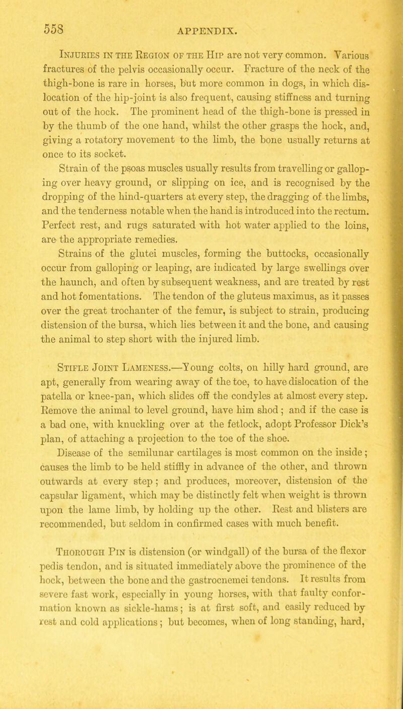 Injuries in the Region of the Hip are not very common. Various fractures of the pelvis occasionally occur. Fracture of the neck of the thigh-bone is rare in horses, but more common in dogs, in which dis- location of the hip-joint is also frequent, causing stiffness and turning out of the hock. The prominent head of the thigh-bone is pressed in by the thumb of the one hand, whilst the other grasps the hock, and, giving a rotatory movement to the limb, the bone usually returns at once to its socket. Strain of the psoas muscles usually results from travelling or gallop- ing over heavy ground, or slipping on ice, and is recognised by the dropping of the hind-quarters at every step, the dragging of the limbs, and the tenderness notable when the hand is introduced into the rectum. Perfect rest, and rugs saturated with hot water applied to the loins, are the appropriate remedies. Strains of the glutei muscles, forming the buttocks, occasionally occur from galloping or leaping, are indicated by large swellings over the haunch, and often by subsequent weakness, and are treated by rest and hot fomentations. The tendon of the gluteus maximus, as it passes over the great trochanter of the femur, is subject to strain, producing distension of the bursa, which lies between it and the bone, and causing the animal to step short with the injured limb. Stifle Joint Lameness.—T oung colts, on hilly hard ground, are apt, generally from wearing away of the toe, to have dislocation of the patella or knee-pan, which slides off the condyles at almost every step. Remove the animal to level ground, have him shod; and if the case is a bad one, with knuckling over at the fetlock, adopt Professor Dick’s plan, of attaching a projection to the toe of the shoe. Disease of the semilunar cartilages is most common on the inside; causes the limb to be held stiffly in advance of the other, and thrown outwards at every step; and produces, moreover, distension of the capsular ligament, which may be distinctly felt when weight is thrown upon the lame limb, by holding up the other. Rest and blisters are recommended, but seldom in confirmed cases with much benefit. Thorough Pin is distension (or windgall) of the bursa of the flexor pedis tendon, and is situated immediately above the prominence of the hock, between the bone and the gastrocnemei tendons. It results from severe fast work, especially in young horses, with that faulty confor- mation known as sickle-hams; is at first soft, and easily reduced by rest and cold applications; but becomes, when of long standing, hard,
