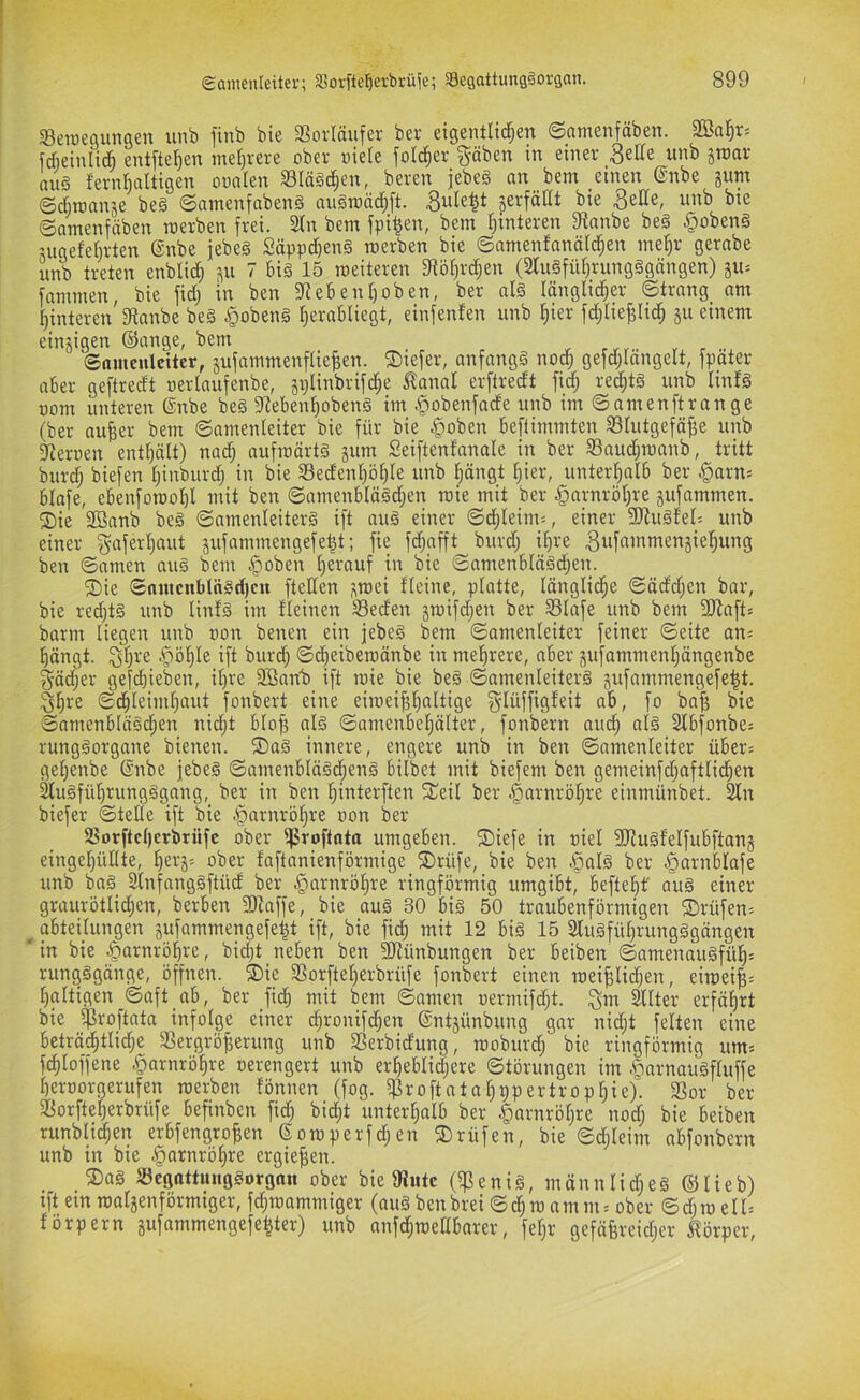 Semeßungen unb finb bie 3Sorlnufer ber eigentlii^^en ©amenfäbett. fdbeinliÄ entftel^eit me()rere ober oie(e foI(^er gäben in einer unb jroar auä fernl)altigen ooalen 93Iä§d)en, bereit jebeg an bem einen @nbe gum ©cijmanje be§ ©amenfabenä augniä#. gerfäUt bte 3eHe, unb bte ©amenfäben roerben frei. 2(n bem fpi^en, bem Ijinteren fRonbe be§ §obeng gugefefirten @nbe febeä Söppdf)eng roerben bie ©amenfanäid;en mel^r gerabe unb treten enblid^ gti 7 6i§ 15 roeiteren 9töt)rdjen (2lu§füt)rungägängen) gu- fammen, bie ftd; in ben fReben!)oben, ber al§ länglicher ©trang am hinteren fRanbe beg ^obeng hevabliegt, einfenten unb hiev fdjlie^Iich gu einem eingigen ©ange, bem ©amenlcttcr, gufammenflie^en. ®iefer, anfangg nod; gefd;längelt, fpäter aber geftredt oerlaufenbe, gplinbrifdhe ^anal erftredt fid; red;tg unb linfg üom unteren @nbe beg fRebenl)obeng im §obenfade unb im ©amenftrange (ber auBer bem ©amenleiter bie für bie §oben beftimmten SIutgefäBe unb 3^eroen enthält) nad; aufroärtg gum Seiftenfanale in ber S3au(jhroanb, tritt bur^ biefen hinburd; in bie SSedenhöhle unb hängt hier, unterhalb ber ^arn» blafe, ebenforoohl mit ben ©amenblägd;en roie mit ber Harnröhre gufammen. Sie 3öanb beg ©amenleiterg ift aug einer ©d)leims, einer 3Jiugfel= unb einer gaferhaut gufammengefeht; fie fd;afft burd; ihre 3wf«’nmengiehung ben ©amen aug bem .^oben herauf i't ©amenblägchen. Sie ©nmcnblngd)cu fteden groei fleine, platte, längliche ©äddjen bar, bie redjtg unb linfg im fleinen SSeden groifd;en ber S31afe unb bem SRaft« barm liegen unb oon benen ein jebeg bem ©amenleiter feiner ©eite an= hängt, gh^'ß -§öhle ift burdh ©theiberoänbe in mehrere, aber gufammenhängenbe gädjer gefchieben, ihre fffianb) ift roie bie beg ©amenleiterg gufammengefe|t. ghfc ©chleimhaut fonbert eine eiroeifthaltige glüffigfeit ab, fo ba| bie ©amenblägchen nidjt blof? alg ©amenbehältcr, fonbern amf) alg 2fbfonbes runggorgane bienen. Sag innere, engere unb in ben ©amenleiter über? gehenbe (Snbe jebeg ©amenblägdheng bilbet mit biefem ben gemeinfi^haftlichen äugführungggang, ber in ben hinterften Seil ber Harnröhre einmünbet. 2fn biefer ©teile ift bie i'parnröhre oon ber Sßorftcherbrüfc ober ifSroftnta umgeben. Siefe in oiel 3Rugfelfubftang eingehüllte, hevg= ober faftanienförmige Srüfe, bie ben §alg ber .^arnblafe unb bag Slnfanggftüd ber .giarnröhre ringförmig umgibt, beftehf aug einer graurötlichen, berben SjRaffe, bie aug 30 big 50 traubenförmigen Srüfen-- ^ abteüungen gufammengefe^t ift, bie fid; mit 12 big 15 2lugfüt;rungggängen ' in bie .öarnrbhre, bid;t neben ben fIRünbungen ber beiben ©amenaugfüh= rungggänge, öffnen. Sie 33orfteherbrüfe fonbert einen roeiBlid;en, eiroeiB= haltigen ©aft ab, ber fii^h mit bem ©amen oermifd;t. gm ^Iter erfährt bie $roftata infolge einer (^ronifd;en ©ntgünbung gar nicht feiten eine beträdhtlid;e 33ergröBerung unb 33erbidung, rooburd; bie ringförmig um» fchloffene Harnröhre oerengert unb erheblidjere ©törungen im .^arnaugfluffe heroorgerufen roerben fönnen (fog. ^roftatahppertrophie). 3Sor ber 5ßorfteherbrüfe befinben fid; bicht unterhalb ber Harnröhre nod; bie beiben runblichen erbfengroBen ©oroperfd;en Srüfen, bie ©d;leim abfonbern unb in bie Harnröhre ergieBen. Sag Scgottunggorgnn ober bie fRute (i)3enig, männlid;eg ©lieb) ift ein roalgenförmiger, fd;roommiger (aug benbrei ©chro amm» ober ©d;ro eil» förpern gufammengefe^ter) unb anfchroellbarer, fel;r gefäBreid;er Körper,