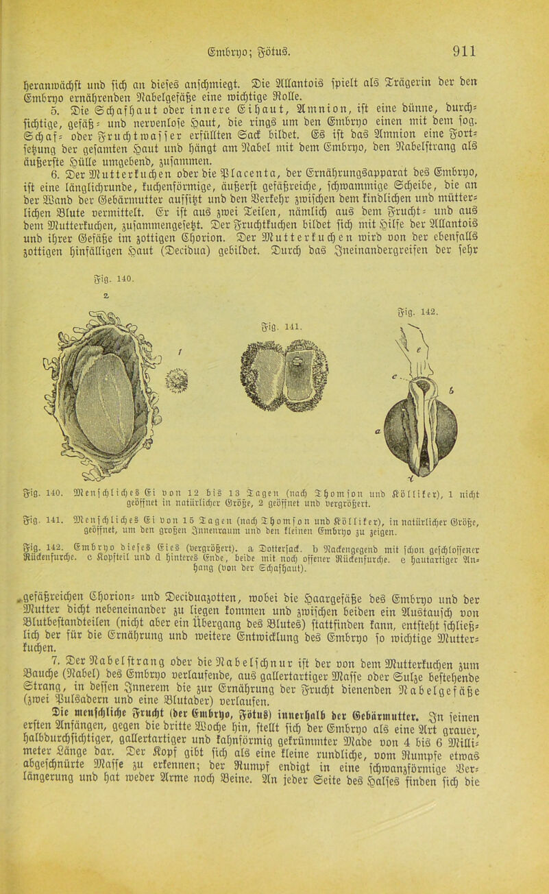 l^eraniüä^ft uub fid& an biejeä ani'dpiegt. Sie SdlantoiS fpielt al§ Trägerin bet ben ®m6rt)0 ernä^renben 9iabelgefä§e eine roic^tige DioKe. 5. Sie ©d^af^aut ober innere ©ilftaut, SKinnion, ift eine bünne, burd^* fic^tige, gefä§= nnb neroenlofe §aut, bie ring§ um ben ®mbri)o einen mit bem jog. ©d}af= ober grud^troaner erfüKten ©ad bilbet. ift ba§ SImnion eine gort^ fefcung ber gefamten fgaut unb pngt am 9tabcl mit bem ®m6r^o, ben 9fabelftrang atä öufierfte §ül(e umgebenb, äufammen. 6. Ser Stutterfu^en ober bie ^lacentn, ber ®rnäf)rung§apparat beä ®mbri)0, ift eine Iänglid)runbe, tudjenförmige, äuBerft gefä^reid^e, fc^roammige ©djeibe, bie an ber SBanb ber ©ebärmutter auffibt unb ben SSerfel^r jroifdjen bem linblid^en unb mütters Ii(^en Stute oermittelt. ®r ift au§ sroei Seiten, nnmti^ au§ bent gru^t^ unb nuä bem 3Jiutter!ucben, sufammengefe^t. Ser g-rudfitfud^en bitbet fi^ mit §itfe ber 2lttantoi§ unb it)rer ©eftifee im jottigen ®t)orion. Ser SItutterfudien toirb uon ber ebenfnttä jottigen l^infättigen .^aut (Secibua) gebitbet. Surc^ ba§ Sneinanbergreifen ber fe^r (Jiß. 110. z giß. 140. 'DJenidjlidjcS ßi Bon 12 Bi§ 13 iaßen (nad) abomfou unb SiHIiter), 1 uid)t ßeöiinet in nntiirlidjcv ©röjjc, 2 geöffnet unb Bergrögcrt. giß. 141. fmenfcblid)c§ ®i Bon 16 Soßen (und) Sbotnfon unb ßöttifer), in natürtid)cr ©rößc, geöffnet, um ben gtogen (fnneurouin uub ben ((einen ßtnbrl)o ju 3eigen. gig. 142. em6rt)0 biefeg ßie§ (Bergrößert). a Sottctfod. b Otodcugegenb mit fd)on gej^toffcuer SRudenfurd)c. c fiopfteit unb d f)intere§ ßnbe, Beibe mit nod) offener 9iücfenfurd)e. e Boutortiger 9ln= (jong (uon ber Sd)o[f)aut). „gefäßreichen ®horion= unb Secibuajotten, roobei bie Haargefäße be§ ©mbr^o unb bet 2Jiulter bicf)t nebeneinanber ju tiegen lommen unb jiuifdhen beiben ein Siustaufch uon Stutbeftanbteiten (nid|t aber ein Übergang beä Stutes) ftattfinben fann, entfteht fcßtieß» tief) ber für bie ernät)rung unb roeitere ®ntroidlung be§ ®mbt50 fo miditige 3Kutterä fliehen. 7. Ser 9labetftrang ober bie 9iabetfd)nur ift ber oon bem SJlutterfuchen jum Sauche (9iabet) beä ®mbri)o oertaufenbe, auä gattertartiger 3«affe ober ©utje beftehenbe ©trang, in beffen innerem bie jur ®rnährung ber f^rucht bienenben 9labelqefnße (äroei ^utäabern unb eine Stutaber) oertaufen. Sic nicn{(f)li(hc fffi^uiht (ber ^uibttjo, fJötuS) iuneihdlb ber @cbätinuttcr. ^n feinen erften 2Infängen, gegen bie brüte SBoche hin, ftettt fich ber ®mbri30 at§ eine 2lrt grauer hatbburchfidftiger, gattertartiger unb fahnförmig gefrümmter 2Jiabe uon 4 big 6 3JiitIi= nieter Sänge Äopf gibt fich ((iä oine fteine runbtidhe, oom Stumpfe etroa§ abgefchnürte pjaffe ju erfennen; ber Stumpf enbigt in eine fchioanjförniige Ser? tängerung unb hnt loeber 2trme nod) Seine. 2tn jeber ©eite beä Hnlfo^ finben fidh bie
