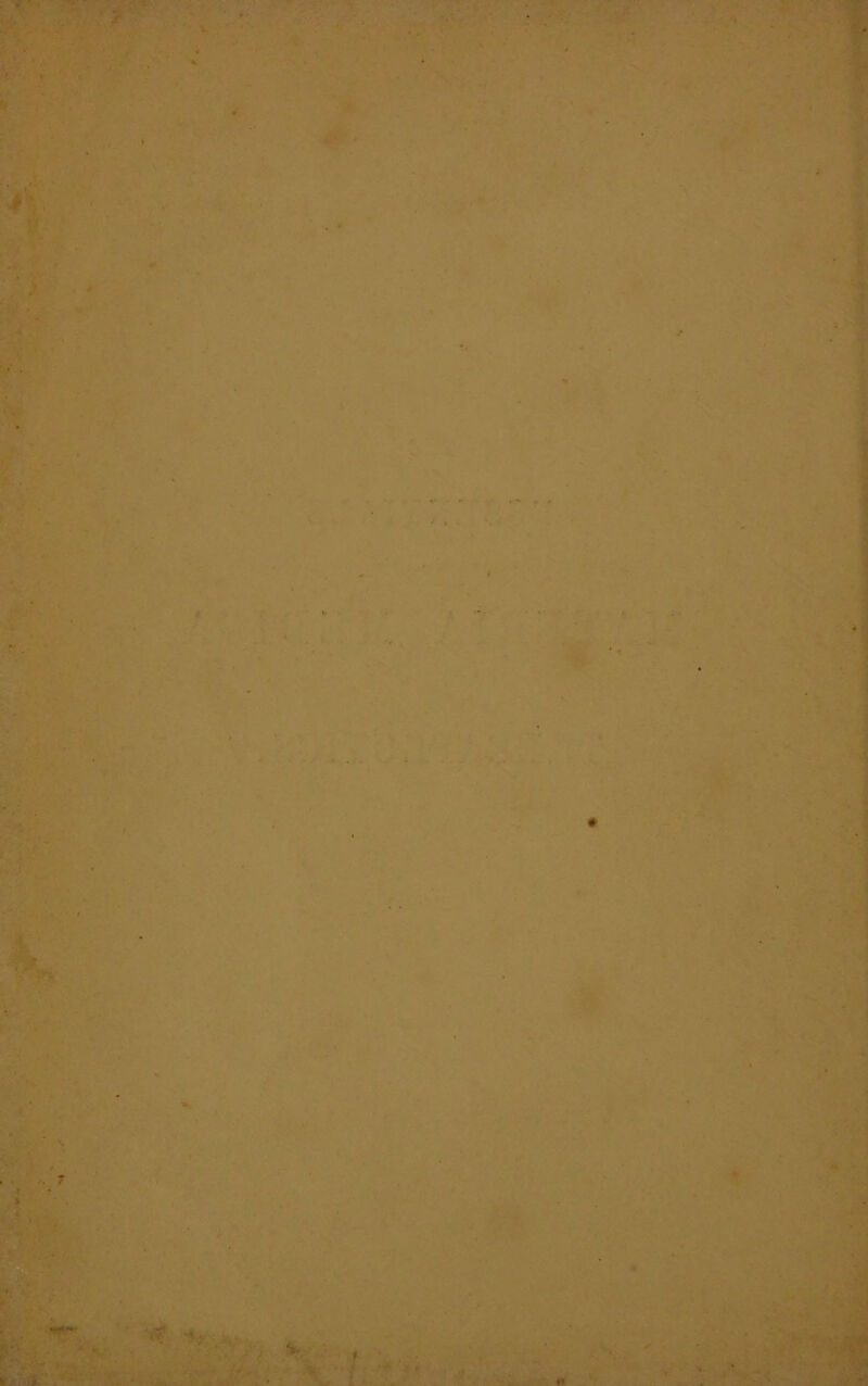 - • ■ • • .. t. ■