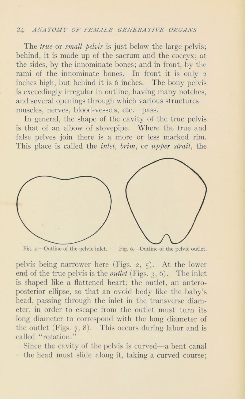 The true or small pelvis is just below the large pelvis; behind, it is made up of the sacrum and the coccyx; at the sides, by the innominate bones; and in front, by the rami of the innominate bones. In front it is only 2 inches high, but behind it is 6 inches. The bony pelvis is exceedingly irregular in outline, having many notches, and several openings through which various structures— muscles, nerves, blood-vessels, etc.—pass. In general, the shape of the cavity of the true pelvis is that of an elbow of stovepipe. Where the true and false pelves join there is a more or less marked rim. This place is called the inlet, brim, or upper strait, the pelvis being narrower here (Figs. 2, 5). At the lower end of the true pelvis is the outlet (Figs. 3,6). The inlet is shaped like a flattened heart; the outlet, an antero- posterior ellipse, so that an ovoid body like the baby’s head, passing through the inlet in the transverse diam- eter, in order to escape from the outlet must turn its long diameter to correspond with the long diameter of the outlet (Figs. 7, 8). This occurs during labor and is called “rotation.” Since the cavity of the pelvis is curved—a bent canal the head must slide along it, taking a curved course;