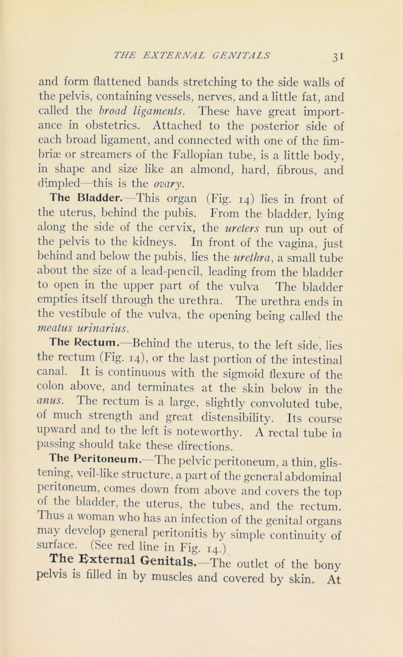 and form flattened bands stretching to the side walls of the pelvis, containing vessels, nerves, and a little fat, and called the broad ligaments. These have great import- ance in obstetrics. Attached to the posterior side of each broad ligament, and connected with one of the fim- briae or streamers of the Fallopian tube, is a little body, in shape and size like an almond, hard, fibrous, and dimpled—this is the ovary. The Bladder.—This organ (Fig. 14) lies in front of the uterus, behind the pubis. From the bladder, lying along the side of the cervix, the ureters run up out of the pelvis to the kidneys. In front of the vagina, just behind and below the pubis, lies the urethra, a small tube about the size of a lead-pencil, leading from the bladder to open in the upper part of the vulva The bladder empties itself through the urethra. The urethra ends in the vestibule of the vulva, the opening being called the meatus urinarius. The Rectum.—Behind the uterus, to the left side, lies the rectum (Fig. 14), or the last portion of the intestinal canal. It is continuous with the sigmoid flexure of the colon above, and terminates at the skin below in the anus. The rectum is a large, slightly convoluted tube, of much strength and great distensibility. Its course upward and to the left is noteworthy. A rectal tube in passing should take these directions. The Peritoneum. The pelvic peritoneum, a thin, glis- tening, veil-like structure, a part of the general abdominal peiitoneum, comes down from above and covers the top of the bladder, the uterus, the tubes, and the rectum. hus a woman who has an infection of the genital organs ma> develop general peritonitis by simple continuitv of surface. (See red line in Fig. 14.) ^xternal Genitals.—'The outlet of the bony pelvis is filled in by muscles and covered by skin. At