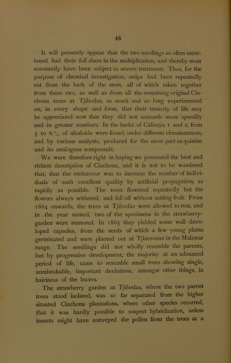 It vvill presently appear that the two nurslings so often ment- ioned had their full share in the multiplication, and thereby must constantly have been subject to severe treatment. Thus, for the purpose of chemIcal investigation, strips had been repeatedly cut from the bark of the stem, all of which taken together Irom these two, as well as from all the remaining original Cin- chona trees at Tjibodas, so much and so long experimented on, in every shape and form, that their tenacity of life may be appreciated now that they did not succumb more speedily and in greater numbers. In the barks of Calisaya i and 2, from 5 to 6 7o of alcaloids were found, under different circumstances, and by various analysts, produced for the most part as quinine and its analogous compounds, We were therefore right in hoping we possessed the best and richest description of Cinchona, and it is not to be wondered that, that the endeavour was to increase the number of indivi- duals of such excellent quality by artificial propagation, as rapidly as possible. The trees flowered repeatedly but the flowers always withered, and feil off without setting fruit. From 1864 onwards, the trees at Tjibodas were allowed to rest, and in the year named, two of the specimens in the strawberry- garden were manured. In 1865 they yielded some well deve- loped capsules, from the seeds of which a few yoimg plants germinated and were planted out at Tjineroean in the Malawar range. The seedlings did not wholly resemble the parents, but by Progressive development, the majority at an advanced period of life, came to resemble small trees showing single, unmistakable, important deviations, amongst other things, in hairiness of the leaves. The strawberry garden at Tjibodas, where the two parent trees stood isolated, was so far separated from the higher situated Cinchona plantations, where other species occurred, that it was hardly possible to suspect hybridization, unless insects might have conveyed the pollen from the trees at a