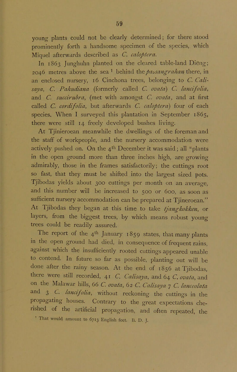 young plants could not be clearly determlned; for there stood prominently forth a handsome specimen of the species, which Miquel aftervvards described as C. cciloptera. In 1863 Junghuhn planted on the cleared table-Iand Diëng; 2046 metres above the sea ^ behind thepa^sangrakau there, in an enclosed nursery, 16 Cinchona trees, belonging to C. Cali- saya, C. Pahiidiana (formerly called C. ovata) C. lancifolia, and C. succirubra, (met with amongst C. ovata, and at first called C. cordifolia, but afterwards C. caloptera) four of each species. When I surveyed this plantation in September 1865, there were still 14 freely developed bushes living. At Tjinieroean meanwhile the dwellings of the foreman and the staff of workpeople, and the nursery accommodation were actively pushed on. On the 4^'^ December it was said ; all “plants in the open ground more than three inches high, are growing admirably, those in the frames satisfactorily; the cuttings root so fast, that they must be shifted into the largest sized pots. Tjibodas yields about 300 cuttings per month on an average, and this number will be increased to 500 or 600, as soon as sufficiënt nursery accommodation can be prepared at Tjineroean.” At Tjibodas they began at this time to take tjangkokken, or layers, from the biggest trees, by which means robust young trees could be readily assured. The report of the 4^^ January 1859 States, that many plants in the open ground had died, in consequence of frequent rains, against which the insufficiently rooted cuttings appeared unable to contend. In future so far as possible, planting out will be done after the rainy season. At the end of 1856 at Tjibodas, there were still recorded, 41 C. Calisaya, and 64 C. ovata, and on the Malawar hills, 66 C. ovata, 62 C Calisaya 7 C. lanceolata and 3 C. lancifoha, without reckoning the cuttings in the propagating houses. Contrary to the great expectations che- rished of the artificial propagation, and often repeated, the That would amount to 6713 English feet. B. D. J.
