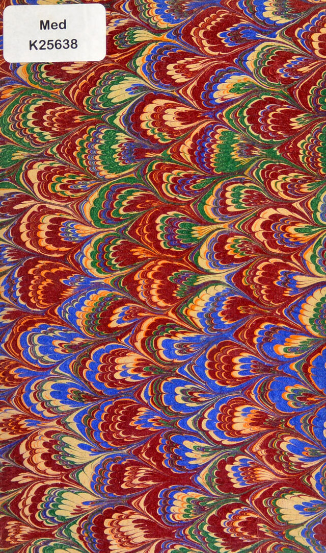 No text description is available for this image