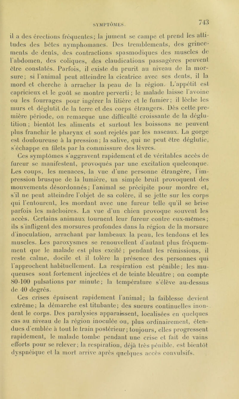 il a des érections fréquentes; la jument se campe et prend les atti- tudes des bêtes nymphomanes. Des tremblements, des grince- ments de dents, des contractions spasmodiques des muscles de l’abdomen, des coliques, des claudications passagères peuvent être constatés. Parfois, il existe du prurit au niveau de la mor- sure; si l’animal peut atteindre la cicatrice avec ses dents, il la mord et cherche à arracher la peau de la région. L’appétit est capricieux et le goût se montre perverti ; le malade laisse 1 avoine ou les fourrages pour ingérer la litière et le fumier; il lèche les murs et déglutit de la terre et des corps étrangers. Dès celte pre- mière période, on remarque une difficulté croissante de la déglu- tition ; bientôt les aliments et surtout les boissons ne peuvent plus franchir le pharynx et sont rejetés par les naseaux. La gorge est douloureuse à la pression; la salive, qui ne peut être déglutie, s’échappe en filets par la commissure des lèvres. Ces symptômes s’aggravent rapidement et de véritables accès de fureur se manifestent, provoqués par une excitation quelconque. Les coups, les menaces, la vue d’une personne étrangère, l’im- pression brusque de la lumière, un simple bruit provoquent des mouvements désordonnés; l’animal se précipite pour mordre et, s’il ne peut atteindre l’objet de sa colère, il se jette sur les corps qui l’entourent, les mordant avec une fureur telle qu’il se brise parfois les mâchoires. La vue d’un chien provoque souvent les accès. Certains animaux tournent leur fureur contre eux-mêmes; ils s'infligent des morsures profondes dans la région de la morsure d’inoculation, arrachant par lambeaux la peau, les tendons et les muscles. Les paroxysmes se renouvellent d’autant plus fréquem- ment que le malade est plus excité; pendant les rémissions, il reste calme, docile et il tolère la présence des personnes qui l’approchent habituellement. La respiration est pénible; les mu- queuses sont fortement injectées et de teinte bleuâtre; on compte cSO-100 pulsations par minute; la température s’élève au-dessus de 40 degrés. Ces crises épuisent rapidement l’animal; la faiblesse devient extrême; la démarche est titubante; des sueurs continuelles inon- dent le corps. Des paralysies apparaissent, localisées en quelques cas au niveau de la région inoculée ou, plus ordinairement, éten- dues d’emblée à tout le train postérieur; toujours, elles progressent lait ue vains rapidement, le malade tombe pendant une crise et efforts pour se relever; la respiration, déjà très pénible, est bientôt dyspnéique et la mort arrive après quelques accès convulsifs.