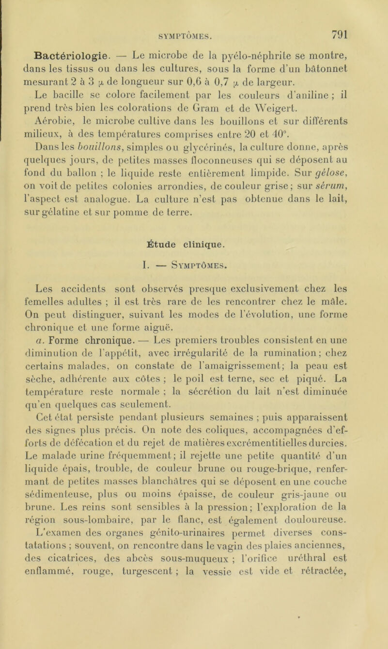 Bactériologie. — Le microbe de la pyélo-néphrite se montre, dans les tissus ou dans les cultures, sous la forme d’un bâtonnet mesurant 2 à 3 de longueur sur 0,6 à 0,7 y. de largeur. Le bacille se colore facilement par les couleurs d’aniline ; il prend très bien les colorations de Gram et de Weigert. Aérobie, le microbe cultive dans les bouillons et sur différents milieux, à des températures comprises entre 20 et 40°. Dans les bouillons, simples ou glycérinés, la culture donne, après quelques jours, de petites masses floconneuses qui se déposent au fond du ballon ; le liquide reste entièrement limpide. Sur gélose, on voit de petites colonies arrondies, de couleur grise ; sur sérum, l’aspect est analogue. La culture n’est pas obtenue dans le lait, sur gélatine et sur pomme de terre. Étude clinique. I. — Symptômes. Les accidents sont observés presque exclusivement chez les femelles adultes ; il est très rare de les rencontrer chez le mâle. On peut distinguer, suivant les modes de l’évolution, une forme chronique et une forme aiguë. a. Forme chronique. — Les premiers troubles consistent en une diminution de l’appétit, avec irrégularité de la rumination; chez certains malades, on constate de l’amaigrissement; la peau est sèche, adhérente aux côtes ; le poil est terne, sec et piqué. La température reste normale ; la sécrétion du lait n’est diminuée qu’en quelques cas seulement. Cet état persiste pendant plusieurs semaines ; puis apparaissent des signes plus précis. On note des coliques, accompagnées d'ef- forts de défécation et du rejet de matières excrémentitielles durcies. Le malade urine fréquemment; il rejette une petite quantité d’un liquide épais, trouble, de couleur brune ou rouge-brique, renfer- mant de petites masses blanchâtres qui se déposent en une couche sédimenteuse, plus ou moins épaisse, de couleur gris-jaune ou brune. Les reins sont sensibles à la pression; l’exploration de la région sous-lombaire, par le liane, est également douloureuse. L’examen des organes génito-urinaires permet diverses cons- tatations ; souvent, on rencontre dans le vagin des plaies anciennes, des cicatrices, des abcès sous-muqueux ; l’orifice uréthral est enflammé, rouge, turgescent ; la vessie est vide et rétractée,