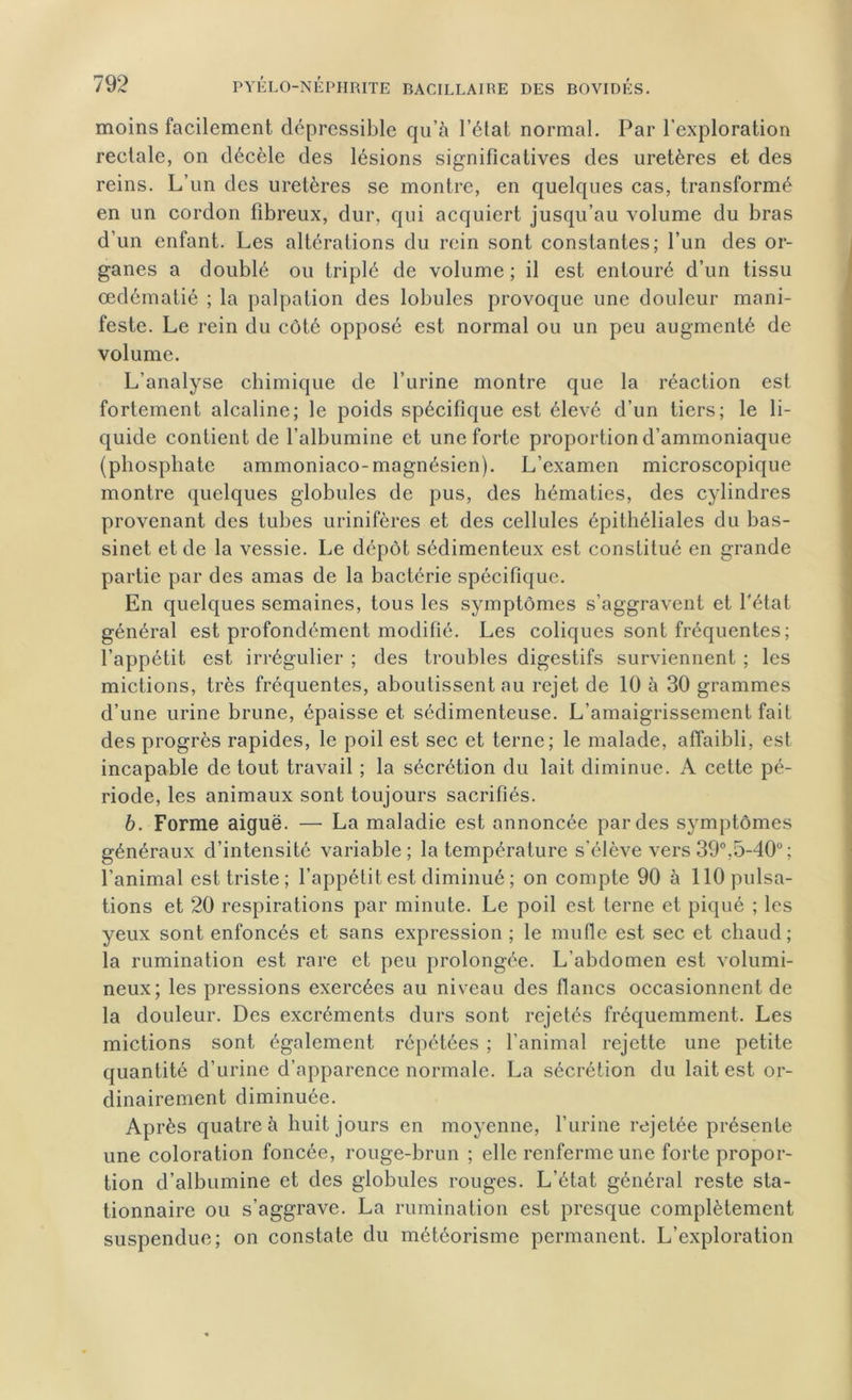 moins facilement dépressible qu’à l’état normal. Par l’exploration rectale, on décèle des lésions significatives des uretères et des reins. L’un des uretères se montre, en quelques cas, transformé en un cordon fibreux, dur, qui acquiert jusqu’au volume du bras d’un enfant. Les altérations du rein sont constantes; l’un des or- ganes a doublé ou triplé de volume ; il est entouré d’un tissu œdématié ; la palpation des lobules provoque une douleur mani- feste. Le rein du côté opposé est normal ou un peu augmenté de volume. L’analyse chimique de l’urine montre que la réaction est fortement alcaline; le poids spécifique est élevé d’un tiers; le li- quide contient de l’albumine et une forte proportion d’ammoniaque (phosphate ammoniaco-magnésien). L’examen microscopique montre quelques globules de pus, des hématies, des cylindres provenant des tubes urinifères et des cellules épithéliales du bas- sinet et de la vessie. Le dépôt sédimenteux est constitué en grande partie par des amas de la bactérie spécifique. En quelques semaines, tous les symptômes s’aggravent et Tétât général est profondément modifié. Les coliques sont fréquentes; l’appétit est irrégulier ; des troubles digestifs surviennent ; les mictions, très fréquentes, aboutissent au rejet de 10 à 30 grammes d’une urine brune, épaisse et sédimenteuse. L’amaigrissement fait des progrès rapides, le poil est sec et terne; le malade, affaibli, est incapable de tout travail ; la sécrétion du lait diminue. A cette pé- riode, les animaux sont toujours sacrifiés. 6. Forme aiguë. — La maladie est annoncée par des symptômes généraux d’intensité variable; la température s’élève vers 39°,5-40°; l’animal est triste ; l’appétit est diminué ; on compte 90 à 110 pulsa- tions et 20 respirations par minute. Le poil est terne et piqué ; les yeux sont enfoncés et sans expression ; le mufle est sec et chaud; la rumination est rare et peu prolongée. L’abdomen est volumi- neux; les pressions exercées au niveau des flancs occasionnent de la douleur. Des excréments durs sont rejetés fréquemment. Les mictions sont également répétées ; l’animal rejette une petite quantité d’urine d’apparence normale. La sécrétion du lait est or- dinairement diminuée. Après quatre à huit jours en moyenne, l’urine rejetée présente une coloration foncée, rouge-brun ; elle renferme une forte propor- tion d’albumine et des globules rouges. L’état général reste sta- tionnaire ou s’aggrave. La rumination est presque complètement suspendue; on constate du météorisme permanent. L’exploration