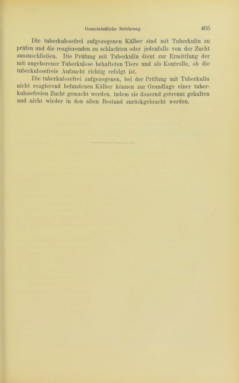 Die tuberkulosefrei aufgezogenen Kälber sind mit Tuberkulin zu prüfen und die reagierenden zu schlachten oder jedenfalls von der Zucht auszuschließen. Die Prüfung mit Tuberkulin dient zur Ermittlung der mit angeborener Tuberkulose behafteten Tiere und als Kontrolle, ob die tuberkulosefreie Aufzucht richtig erfolgt ist. Die tuberkulosefrei aufgezogenen, bei der Prüfung mit Tuberkulin nicht reagierend befundenen Kälber können zur Grundlage einer tuber- kulosefreien Zucht gemacht werden, indem sie dauernd getrennt gehalten und nicht wieder in den alten Bestand zurückgebracht werden.