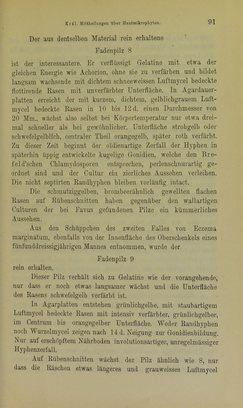Der aus dertlselben Material rein erhaltene Fadenpilz 8 ist der interessantere. Er verflüssigt Gelatine mit etwa der gleichen Energie wie Achorion, ohne sie zu verfärben und bildet langsam wachsende mit dichtem schneeweissen Luftmycel bedeckte flottirende Rasen mit unverfärbter Unterfläche. In Agardauer- platten erreicht der mit kurzem, dichtem, gelblichgrauem Luft- mycel bedeckte Rasen in 10 bis 12 d. einen Durchmesser von 20 Mm., wächst also seihst bei Körpertemperatur nur etwa drei- mal schneller als bei gewöhnlicher. Unterfläche strohgelb oder schwefelgelblich, centraler Theil orangegelb, später roth verfärbt. Zu dieser Zeit beginnt der o'idienartige Zerfall der Hyphen in späterhin üppig entwickelte kugelige Gonidien, welche den Bre- feld’schen Chlamydosporeu entsprechen, perlenschnurartig ge- ordnet sind und der Cultur ein zierliches Aussehen verleihen. Die nicht septirten Randhyphen bleiben vorläufig intact. Die schmutziggelben, brombeerähnlich gewellten flachen Rasen auf Rübenschuitten haben gegenüber den wallartigen Oulturen der bei Favus gefundenen Pilze ein kümmerliches Aussehen. Aus den Schüppchen des zweiten Falles von Eczema marginatum, ebenfalls von der Innenfläche des Oberschenkels eines fünfunddreissigjährigen Mannes entnommen, wurde der Fadenpilz 9 rein erhalten. Dieser Pilz verhält sich zu Gelatine wie der vorangehende, nur dass er noch etwas langsamer wächst und die Unterfläche des Rasens schwefelgelb verfärbt ist. In Agarplatten entstehen grünlichgelbe, mit staubartigem Luftmycel bedeckte Rasen mit intensiv verfärbter, grünlichgelber, im Centrum bis orangegelber Unterfläche. Weder Randhyphen noch Wurzelmycel zeigen nach 14 d. Neigung zur Gonidienbildung. Nur auf erschöpftem Nährboden involutionsartiger, unregelmässiger Hyphenzerfall. Auf Rübenschnitten wächst der Pilz ähnlich wie 8, nur dass die Räschen etwas längeres und grauweisses Luftmycel