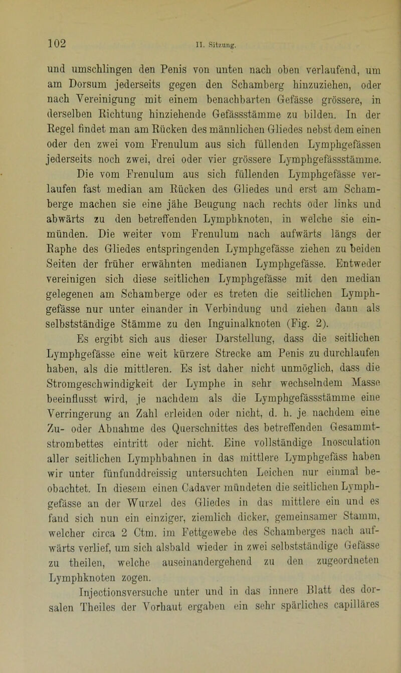 und umschlingen den Penis von unten nach oben verlaufend, um am Dorsum jederseits gegen den Schamberg hinzuziehen, oder nach Vereinigung mit einem benachbarten Gefässe grössere, in derselben Richtung hinziehende Gefässstämme zu bilden. In der Regel findet man am Rücken des männlichen Gliedes nebst dem einen oder den zwei vom Frenulum aus sich füllenden Lymphgefässen jederseits noch zwei, drei oder vier grössere Lymphgefässstämme. Die vom Frenulum aus sich füllenden Lymphgefässe ver- laufen fast median am Rücken des Gliedes und erst am Scham- berge machen sie eine jähe Beugung nach rechts oder links und abwärts zu den betreffenden Lymphknoten, in welche sie ein- münden. Die weiter vom Frenulum nach aufwärts längs der Raphe des Gliedes entspringenden Lymphgefässe ziehen zu beiden Seiten der früher erwähnten medianen Lymphgefässe. Entweder vereinigen sich diese seitlichen Lymphgefässe mit den median gelegenen am Schamberge oder es treten die seitlichen Lymph- gefässe nur unter einander in Verbindung und ziehen daun als selbstständige Stämme zu den Inguinalknoten (Fig. 2). Es ergibt sich aus dieser Darstellung, dass die seitlichen Lymphgefässe eine weit kürzere Strecke am Penis zu durchlaufen haben, als die mittleren. Es ist daher nicht unmöglich, dass die Stromgeschwindigkeit der Lymphe in sehr wechselndem Masse beeinflusst wird, je nachdem als die Lymphgefässstämme eine Verringerung an Zahl erleiden oder nicht, d. h. je nachdem eine Zu- oder Abnahme des Querschnittes des betreffenden Gesammt- strombettes eintritt oder nicht. Eine vollständige Inosculation aller seitlichen Lymphbahnen in das mittlere Lymphgefäss haben wir unter fünfunddreissig untersuchten Leichen nur einmal be- obachtet. In diesem einen Cadaver mündeten die seitlichen Lymph- gefässe au der Wurzel des Gliedes in das mittlere ein und es fand sich nun ein einziger, ziemlich dicker, gemeinsamer Stamm, welcher circa 2 Ctm. im Fettgewebe des Schamberges nach auf- wärts verlief, um sich alsbald wieder in zwei selbstständige Gefässe zu theilen, welche auseinandergehend zu den zugeordneten Lymphknoten zogen. Injectionsversuche unter und in das innere Blatt des dor- salen Theiles der Vorhaut ergaben ein sehr spärliches capilläres