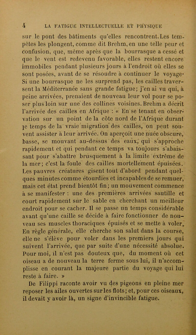 sur le pont des bàtiments qu’elles rencontrent.Les tem- pètes les plongent, comme clit Brehm,en une telle peur et confusion, que, mème après que la bourrasque a cesse et que le vent est redevenu favorable, elles restent encore immobiles pendant plusieurs jours àl’endroit où elles se sont posées, avant de se résoudre à continuer le voyage* Si une bourrasque ne les surprend pas, les cailles traver- sent la Méditerranée sans grande fatigue; j’en ai vu qui, à peine arrivées, prenaient de nouveau leur voi pour se po- ser plusloin sur une des collines voisines. Brehm a décrit l’arrivée des cailles en Afrique : « En se tenant en obser- vation sur un point de la còte nord de l’Afrique durant le temps de la vraie migration des cailles, on peut sou- vent assister à leur arrivée. On apercoit une nuée obscure, basse, se mouvant au-dessus des eaux, qui s’approche rapidement et qui pendant ce temps va toujours s’abais- sant pour s’abattre brusquement à la limite extrème de la mer; c’est la foule des cailles mortellement épuisées. Lespauvres créatures gisent tout d’abord pendant quel- ques minutes comme étourdies et incapablesde seremuer, mais cet état prend bientót fin ; un mouvement commence à se manifester : une des premières arrivées sautille et court rapidement sur le sable en cherchant un meilleur endroit pour se cacher. Il se passe un temps considérable avant qu’une caille se décide à faire fonctionner de nou- veau ses muscles thoraciques épuisés et se mette à voler. En règie générale, elle cherche son salut dans la course, elle ne s’élève pour voler dans les premiers jours qui suivent l’arrivée, que par suite dime nécessité absolue. Pour moi, il n’est pas douteux que, du moment où cet oiseau a de nouveau la terre ferme sous lui, il n’accom- plisse en courant la majeure partie du voyage qui lui reste à faire. » De Filippi raconte avoir vu 4es pigeons en pieine mer reposer les ailes ouvertes sur les flots; et, pour ces oiseaux, il devait y avoir là, un signe d’invincible fatigue.