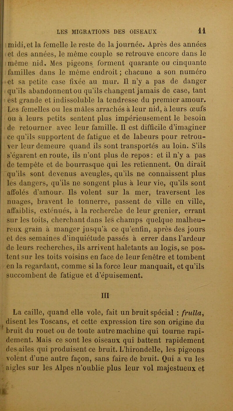 midi, et la femelle le reste de la journée. Apròs des années et des années, le mème couple se retrouve encore dans le mème nid. Mes pigeons forment qnarante ou cinqnante familles dans le mème endroit ; chacune a son numéro et sa petite case fìxée au mur. 11 n’y a pas de danger qu’ils abandonnentou qu’ils changent jamais de case, tant est grande et indissoluble la tendresse du premier amour. Les femelles ou les màles arrachós à leur nid, à leurs oeufs ou a leurs petits sentent plus impérieusement le besoin de retourner avec leur famille. Il est difficile d’imaginer ce qu’ils supportent de fatigue et de labeurs pour retrou- ver leur demeure quand ils sont transportés au loin. S’ils s’égarent en route, ils n’ont plus de repos : et il n’y a pas de tempète et de bourrasque qui les retiennent. On dirait qu’ils sont devenus aveugles, qu’ils ne connaissent plus les dangers, qu’ils ne songent plus à leur vie, qu’ils sont affolés d’amour. Ils volent sur la mer, traversent les nuages, bravent le tonnerre, passent de ville en ville, affaiblis, exténués, à la recherete de leur grenier, errant sur les toits, cherchant dans les champs quelque malheu- reux grain à manger jusqu’à ce qu’enfin, après des jours et des semaines d’inquiétude passés à errer dansl’ardeur de leurs recherches, ils arrivent haletants au logis, se pos- tent sur les toits voisins en face de leur fenètre et tombent en la regardant, cornine si la force leur manquait, et qu’ils succombent de fatigue et d’épuisement. Ili La caille, quand elle vole, fait un bruit special : frulla, disent les Toscans, et cette expression tire son origine du bruit du rouet ou de toute autre machine qui tourne rapi- dement. Mais ce sont les oiseaux qui battent rapidement des ailes qui produisent ce bruit. L’hirondelle, les pigeons volent d’une autre fa^on, sans faire de bruit. Qui a vu les aigles sur les Alpes n’oublie plus leur voi majestueux et