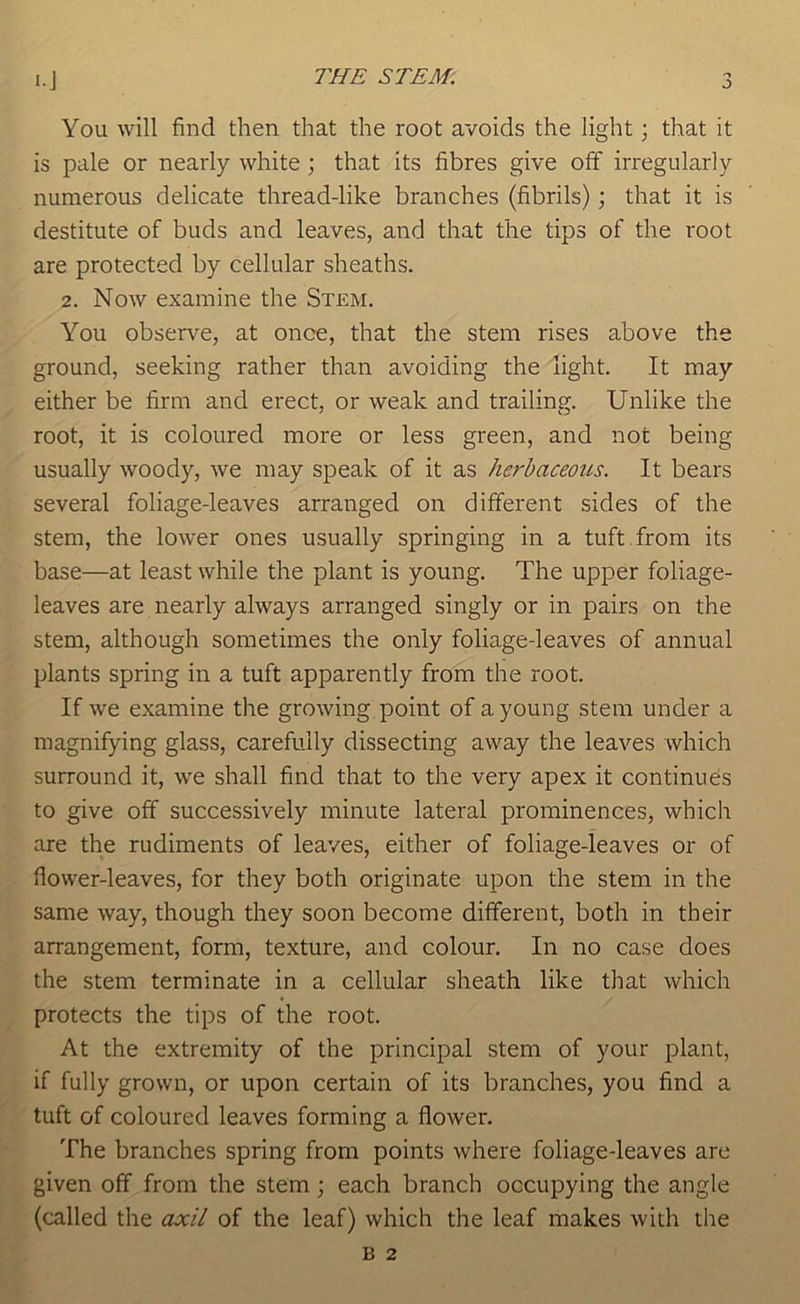 l.J THE STEM: J You will find then that the root avoids the light; that it is pale or nearly white; that its fibres give off irregularly numerous delicate thread-like branches (fibrils); that it is destitute of buds and leaves, and that the tips of the root are protected by cellular sheaths. 2. Now examine the Stem. You observe, at once, that the stem rises above the ground, seeking rather than avoiding the light. It may either be firm and erect, or weak and trailing. Unlike the root, it is coloured more or less green, and not being usually woody, we may speak of it as herbaceous. It bears several foliage-leaves arranged on different sides of the stem, the lower ones usually springing in a tuft, from its base—at least while the plant is young. The upper foliage- leaves are nearly always arranged singly or in pairs on the stem, although sometimes the only foliage-leaves of annual plants spring in a tuft apparently from the root. If we examine the growing point of a young stem under a magnifying glass, carefully dissecting away the leaves which surround it, we shall find that to the very apex it continues to give off successively minute lateral prominences, which are the rudiments of leaves, either of foliage-leaves or of flower-leaves, for they both originate upon the stem in the same way, though they soon become different, both in their arrangement, form, texture, and colour. In no case does the stem terminate in a cellular sheath like that which protects the tips of the root. At the extremity of the principal stem of your plant, if fully grown, or upon certain of its branches, you find a tuft of coloured leaves forming a flower. The branches spring from points where foliage-leaves are given off from the stem; each branch occupying the angle (called the axil of the leaf) which the leaf makes with the
