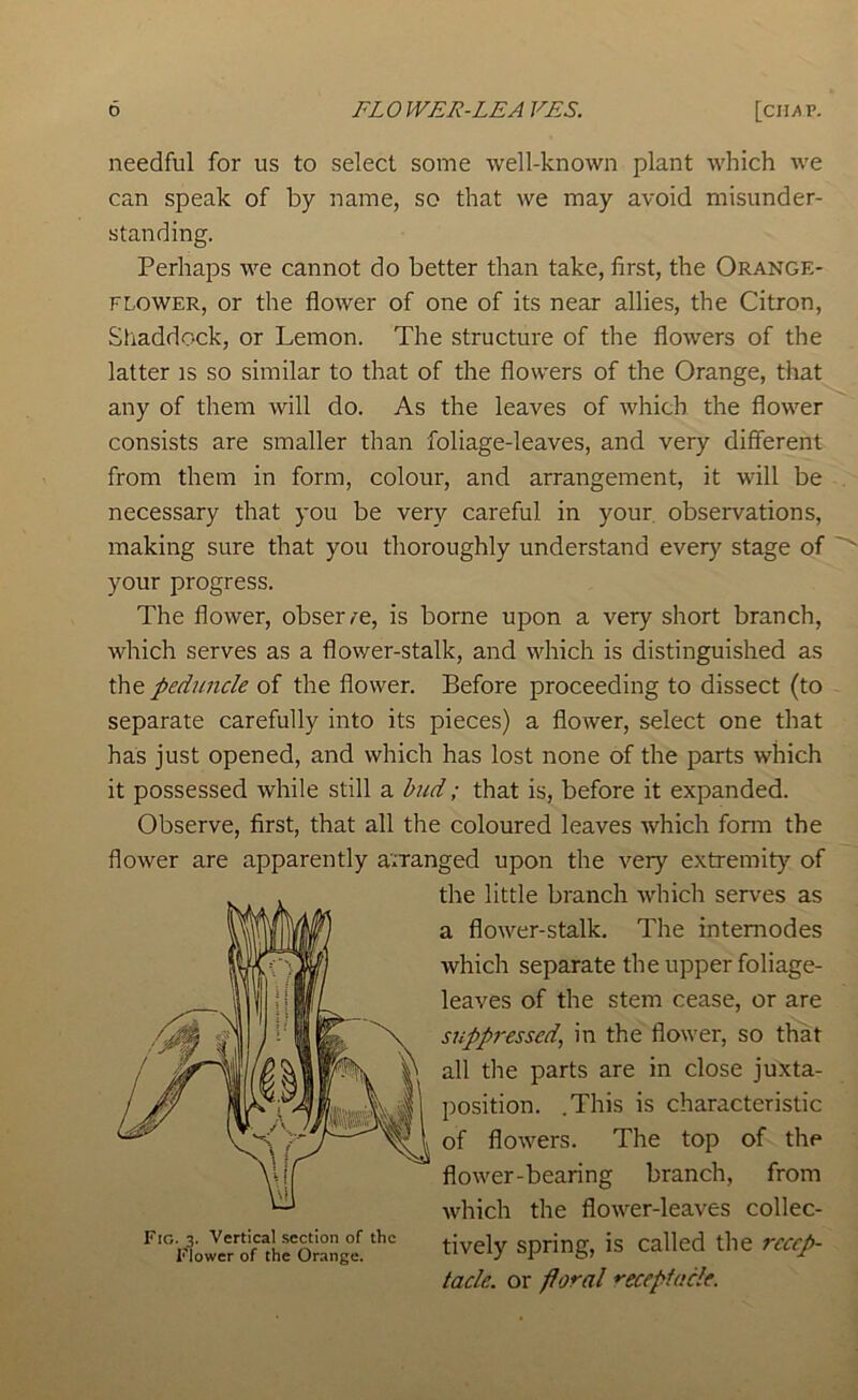 needful for us to select some well-known plant which we can speak of by name, so that we may avoid misunder- standing. Perhaps we cannot do better than take, first, the Orange- flower, or the flower of one of its near allies, the Citron, Shaddock, or Lemon. The structure of the flowers of the latter is so similar to that of the flowers of the Orange, that any of them will do. As the leaves of which the flower consists are smaller than foliage-leaves, and very different from them in form, colour, and arrangement, it will be necessary that you be very careful in your, observations, making sure that you thoroughly understand every stage of your progress. The flower, obser/e, is borne upon a very short branch, which serves as a flower-stalk, and which is distinguished as the peduncle of the flower. Before proceeding to dissect (to separate carefully into its pieces) a flower, select one that has just opened, and which has lost none of the parts which it possessed while still a hud; that is, before it expanded. Observe, first, that all the coloured leaves which fonn the flower are apparently arranged upon the very extremity of the little branch which serves as a flower-stalk. The intemodes which separate the upper foliage- leaves of the stem cease, or are suppressed^ in the flower, so that all the parts are in close juxta- position. .This is characteristic of flowers. The top of the flower-bearing branch, from which the flower-leaves collec- tively spring, is called the recep- tacle. or floral *'eceptacle. Fig. 3. Vertical section of the Flower of the Orange.