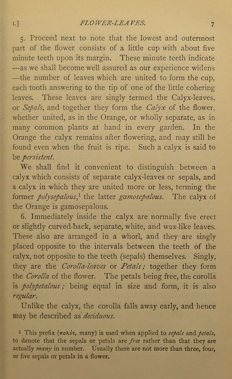 5. Proceed next to note that the lowest and outermost part of the flower consists of a little cup with about five minute t-eeth upon its margin. These minute teeth indicate —as we shall become well assured as our experience widens —the number of leaves which are united to form the cup, each tooth answering to the tip of one of the little cohering leaves. These leaves are singly termed the Calyx-leaves, or Sepals, and together they form the Calyx of the flower, whether united, as in the Orange, or wholly separate, as in many common plants at hand in every garden. In the Orange the calyx remains after flowering, and may still be found even when the fruit is ripe. Such a calyx is said to be persistent. We shall find it convenient to distinguish between a calyx which consists of separate calyx-leaves or sepals, and a calyx in which they are united more or less, terming the former polysepalous^ the latter gamosepalous. The calyx of the Orange is gamosepalous. 6. Immediately inside the calyx are normally five erect or slightly curved-back, separate, white, and wax-like leaves. These also are arranged in a whorl, and they are singly placed opposite to the intervals between the teeth of the calyx, not opposite to the teeth (sepals) themselves. Singly, they are the Corolla-leaves or Petals; together they form the Corolla of the flower. The petals being free, the corolla is polypetalous; being equal in size and form, it is also regular. Unlike the calyx, the corolla falls away early, and hence may be described as deciduous. 1 This prefix {troKh^, many) is used when applied to sepals and petals, to denote that the sepals or petals are free rather than that they are actually many in number. Usually there are not more than three, four, or five sepals or petals in a flower.