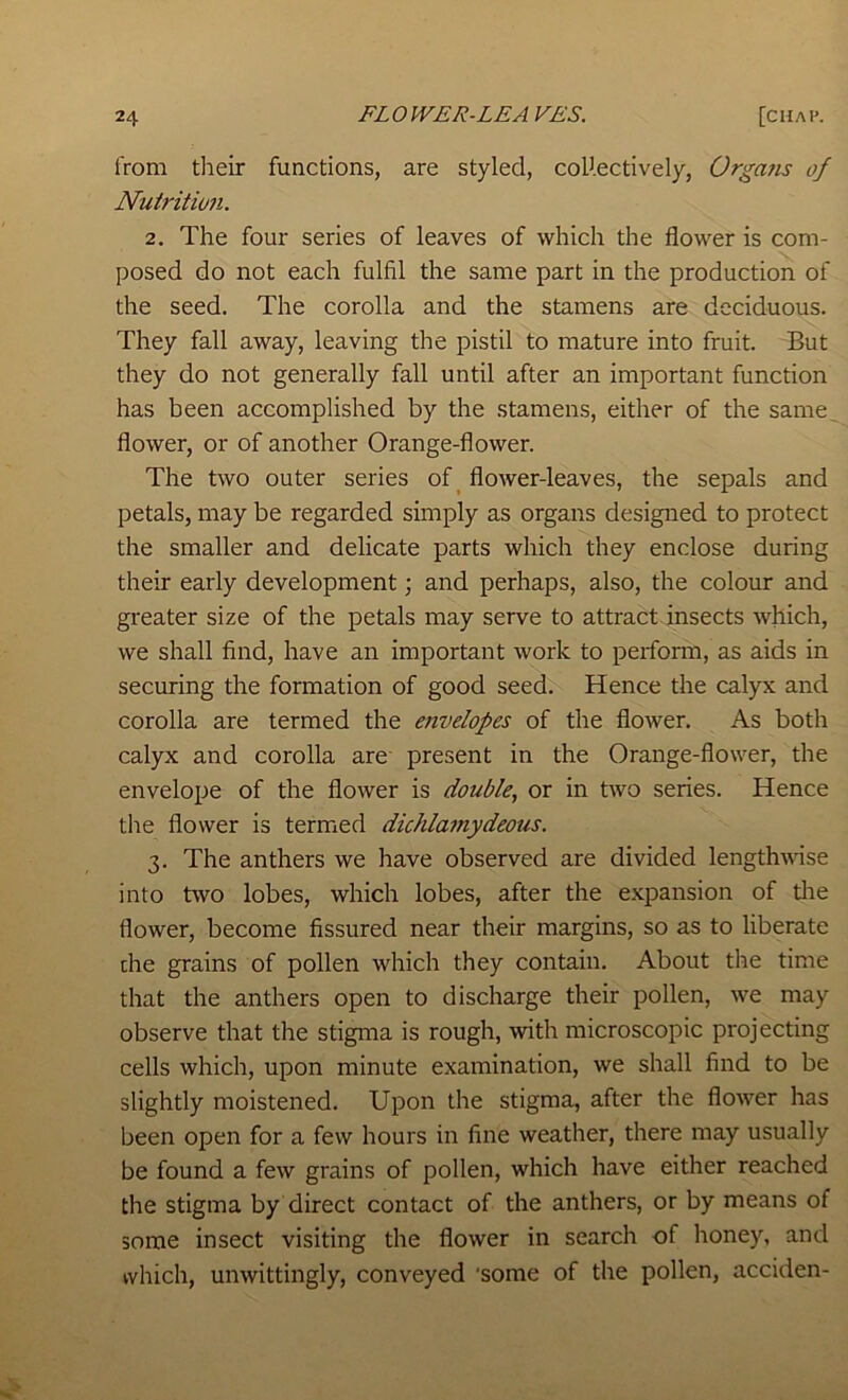 from their functions, are styled, collectively, Orgafis of Nuiritio?i. 2. The four series of leaves of which the flower is com- posed do not each fulfil the same part in the production of the seed. The corolla and the stamens are deciduous. They fall away, leaving the pistil to mature into fruit. But they do not generally fall until after an important function has been accomplished by the stamens, either of the same_ flower, or of another Orange-flower. The two outer series of ^ flower-leaves, the sepals and petals, may be regarded simply as organs designed to protect the smaller and delicate parts which they enclose during their early development; and perhaps, also, the colour and greater size of the petals may serve to attract insects which, we shall find, have an important work to perform, as aids in securing the formation of good seed. Hence the calyx and corolla are termed the envelopes of the flower. As both calyx and corolla am present in the Orange-flower, the envelope of the flower is double, or in two series. Hence the flower is termed dichlamydeous. 3. The anthers we have observed are divided lengthwise into two lobes, which lobes, after the expansion of tlie flower, become fissured near their margins, so as to liberate die grains of pollen which they contain. About the time that the anthers open to discharge their pollen, we may observe that the stigma is rough, with microscopic projecting cells which, upon minute examination, we shall find to be slightly moistened. Upon the stigma, after the flower has been open for a few hours in fine weather, there may usually be found a few grains of pollen, which have either reached the stigma by direct contact of the anthers, or by means of some insect visiting the flower in search of honey, and which, unwittingly, conveyed ‘some of the pollen, acciden-