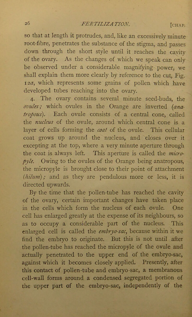 so that at length it protrudes, and, like an excessively minute root-fibre, penetrates the substance of the stigma, and passes down through the short style until it reaches the cavity of the ovary. As the changes of which we speak can only be observed under a considerable magnifying power, we shall explain them more clearly by reference to the cut. Fig. 12a, which represents some grains of pollen which have developed tubes reaching into the ovary. 4. The ovary contains several minute seed-buds, the ovules; which ovules in the Orange are inverted {ana- tropous). Each ovule consists of a central cone, called the nucleus of the ovule, around which central cone is a layer of cells forming the coat of the ovule. This cellular coat grows up around the nucleus, and closes over it excepting at the top, where a very minute aperture through the coat is always left. This aperture is called the inicro- pyle. Owing to the ovules of the Orange being anatropous, the micropyle is brought close to their point of attachment (hiluni); and as they are pendulous more or less, it is directed upwards. By the time that the pollen-tube has reached the cavity of the ovary, certain important changes have taken place in the cells which form the nucleus of each ovule. One cell has enlarged greatly at the expense of its neighbours, so as to occupy a considerable part of the nucleus. This enlarged cell is called the embryo-sac, because within it we find the embryo to originate. But this is not until after the pollen-tube has reached the micropyle of the ovule and actually penetrated to the upper end of the embryo-sac, against which it becomes closely applied. Presently, after this contact of pollen-tube and embryo-sac, a membranous cell-wall forms around a condensed segregated portion of the upper part of the embryo-sac, independently of the