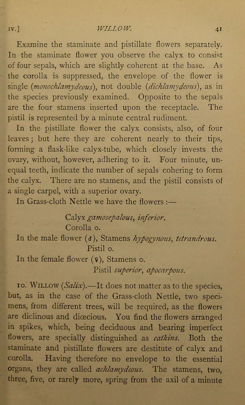 Examine the staminate and pistillate flowers separately. In the staminate flower you observe the calyx to consist of four sepals, which are slightly coherent at the base. As the corolla is suppressed, the envelope of the flower is single {mo7iochlamydeous\ not double {dichlamydeous), as in the species previously examined. Opposite to the sepals are the four stamens inserted upon the receptacle. The pistil is represented by a minute central rudiment. In the pistillate flower the calyx consists, also, of four leaves; but here they are coherent nearly to their tips, forming a flask-like calyx-tube, which closely invests the ovary, without, however, adhering to it. Four minute, un- equal teeth, indicate the number of sepals cohering to form the calyx. There are no stamens, and the pistil consists of a single carpel, with a superior ovary. In Grass-cloth Nettle we have the flowers :— Calyx gamosepalous, inferior. Corolla o. In the male flower (<j), Stamens hyfogy nous, tetrandrous. Pistil o. In the female flower (9), Stamens o. Pistil superior, apocarpous. 10. Willow {Salix),—It does not matter as to the species, but, as in the case of the Grass-cloth Nettle, two speci- mens, from different trees, will be required, as the flowers are diclinous and dioecious. You find the flowers arranged in spikes, which, being deciduous and bearing imperfect flowers, are specially distinguished as caikms. Both the staminate and pistillate flowers are destitute of calyx and corolla. Having therefore no envelope to the essential organs, they are called achlamydcous. The stamens, two, three, five, or rarely more, spring from the axil of a minute