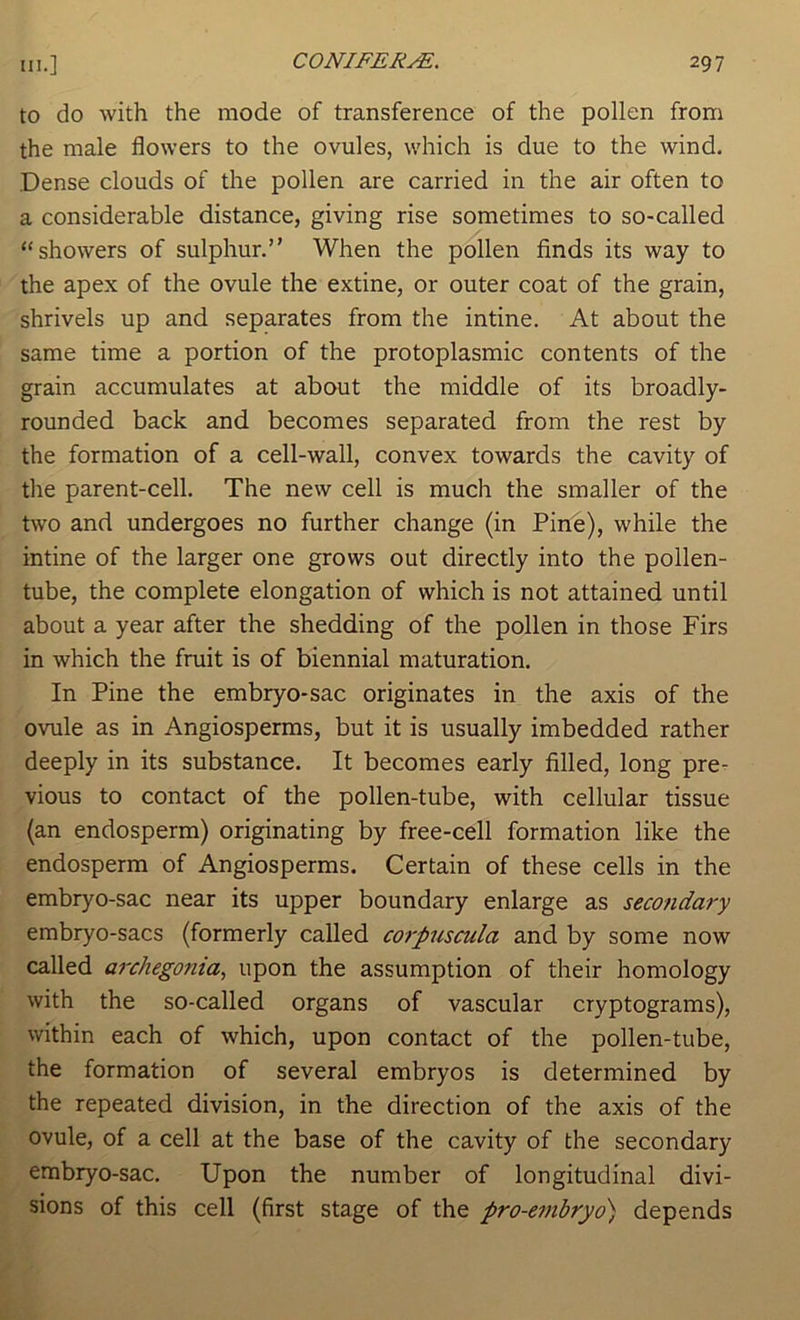 to do with the mode of transference of the pollen from the male flowers to the ovules, which is due to the wind. Dense clouds of the pollen are carried in the air often to a considerable distance, giving rise sometimes to so-called “showers of sulphur.” When the pollen finds its way to the apex of the ovule the extine, or outer coat of the grain, shrivels up and separates from the intine. At about the same time a portion of the protoplasmic contents of the grain accumulates at about the middle of its broadly- rounded back and becomes separated from the rest by the formation of a cell-wall, convex towards the cavity of the parent-cell. The new cell is much the smaller of the two and undergoes no further change (in Pine), while the intine of the larger one grows out directly into the pollen- tube, the complete elongation of which is not attained until about a year after the shedding of the pollen in those Firs in which the fruit is of biennial maturation. In Pine the embryo-sac originates in the axis of the ovule as in Angiosperms, but it is usually imbedded rather deeply in its substance. It becomes early filled, long pre- vious to contact of the pollen-tube, with cellular tissue (an endosperm) originating by free-cell formation like the endosperm of Angiosperms. Certain of these cells in the embryo-sac near its upper boundary enlarge as secondary embryo-sacs (formerly called corpuscula and by some now called archegonia, upon the assumption of their homology with the so-called organs of vascular cryptograms), within each of which, upon contact of the pollen-tube, the formation of several embryos is determined by the repeated division, in the direction of the axis of the ovule, of a cell at the base of the cavity of the secondary embryo-sac. Upon the number of longitudinal divi- sions of this cell (first stage of the pro-embryo') depends