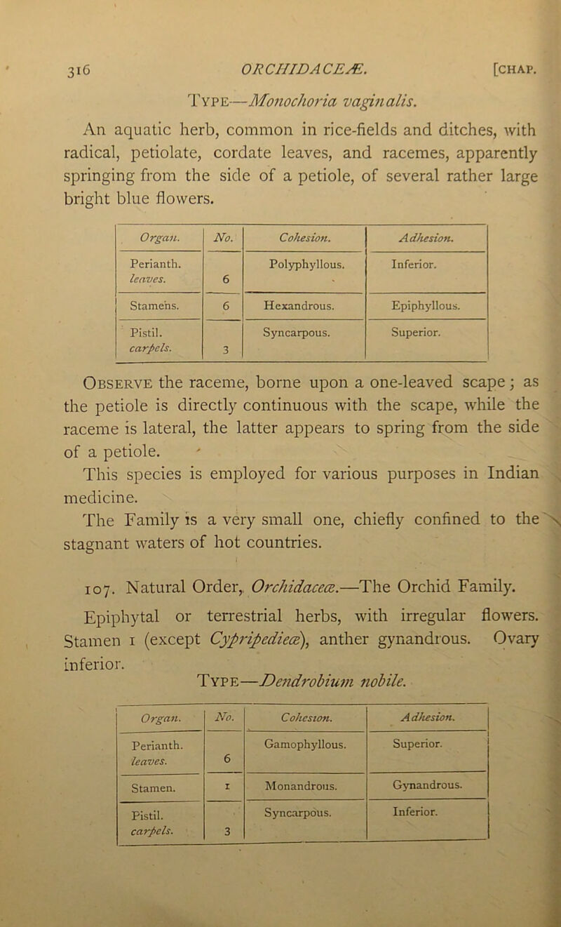 Type—Monochoria vaginalls. An aquatic herb, common in rice-fields and ditches, with radical, p etiolate, cordate leaves, and racemes, apparently springing from the side of a petiole, of several rather large bright blue flowers. Organ. No. Cohesion. Adhesion. Perianth. leaves. 6 Polyphyllous. Inferior. Stamens. 6 Hexandrous. Epiphyllous. Pistil. carpels. 3 Syncarpous. Superior. Observe the raceme, borne upon a one-leaved scape; as the petiole is directly continuous with, the scape, while the raceme is lateral, the latter appears to spring from the side of a petiole. This species is employed for various purposes in Indian medicine. The Family IS a very small one, chiefly confined to the 'N, stagnant waters of hot countries. 107. Natural Order,, Orchidaceoz.—The Orchid Family. Epiphytal or terrestrial herbs, with irregular flowers. Stamen i (except Cypiipediece), anther gynandrous. Ovary inferior. Type—Detidrobiuvi nobile. Organ. No. Cohesion. Adhesion. Perianth. leaves. 6 Gamophyllous. I Superior. Stamen. r Monandrous. Gynandrous. Pistil. Syncarpous. Inferior.