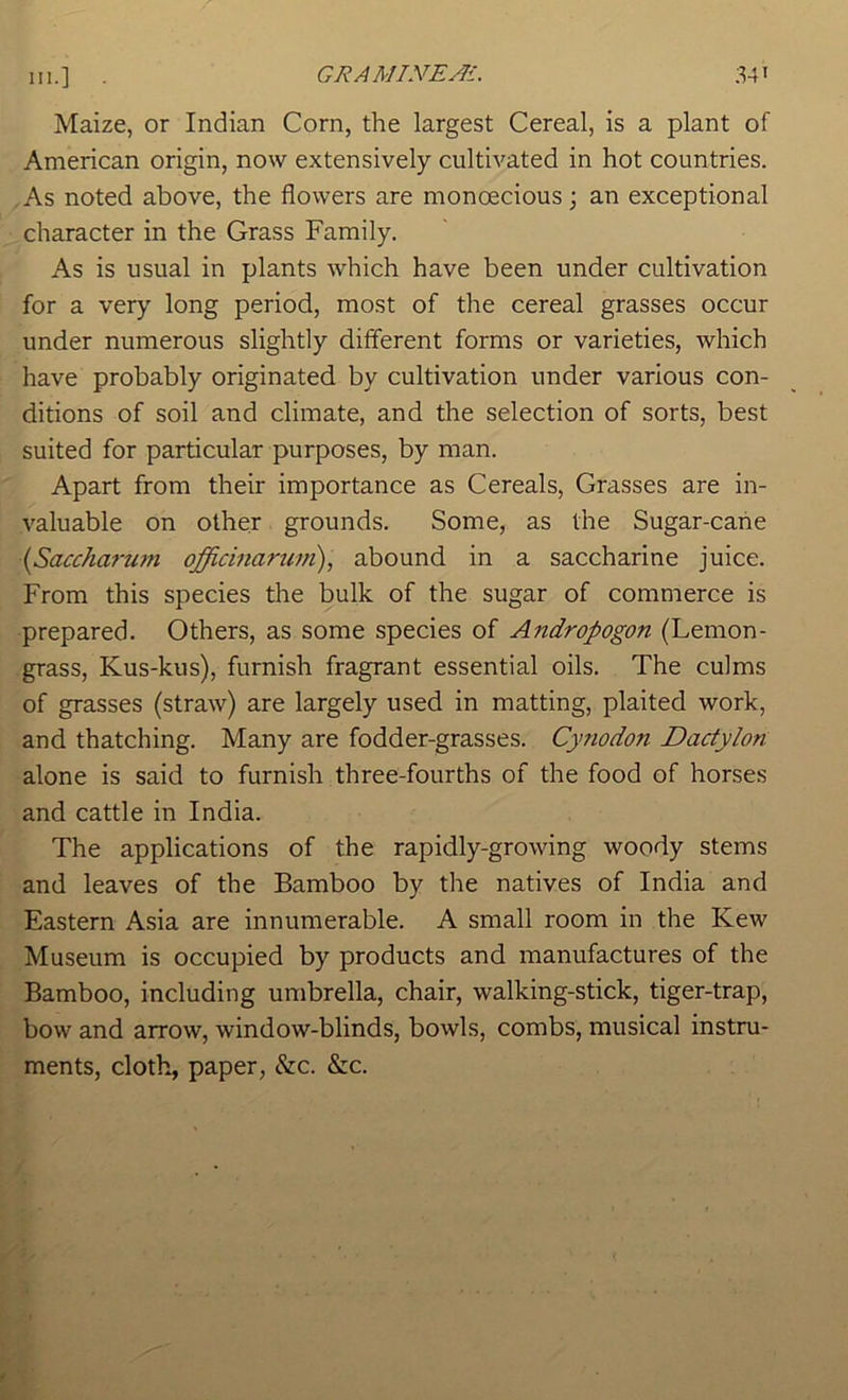 Maize, or Indian Corn, the largest Cereal, is a plant of American origin, now extensively cultivated in hot countries. ,As noted above, the flowers are monoecious; an exceptional character in the Grass Family. As is usual in plants which have been under cultivation for a very long period, most of the cereal grasses occur under numerous slightly different forms or varieties, which have probably originated by cultivation under various con- ditions of soil and climate, and the selection of sorts, best suited for particular purposes, by man. Apart from their importance as Cereals, Grasses are in- valuable on other grounds. Some, as the Sugar-cane {Saccharu?n officinarum), abound in a saccharine juice. From this species the bulk of the sugar of commerce is prepared. Others, as some species of Andropogon (Lemon- grass, Kus-kus), furnish fragrant essential oils. The culms of grasses (straw) are largely used in matting, plaited work, and thatching. Many are fodder-grasses. Cynodon Dactylon alone is said to furnish three-fourths of the food of horses and cattle in India. The applications of the rapidly-growing woody stems and leaves of the Bamboo by the natives of India and Eastern Asia are innumerable. A small room in the Kew Museum is occupied by products and manufactures of the Bamboo, including umbrella, chair, walking-stick, tiger-trap, bow and arrow, window-blinds, bowls, combs, musical instru- ments, cloth, paper, &c. &c.