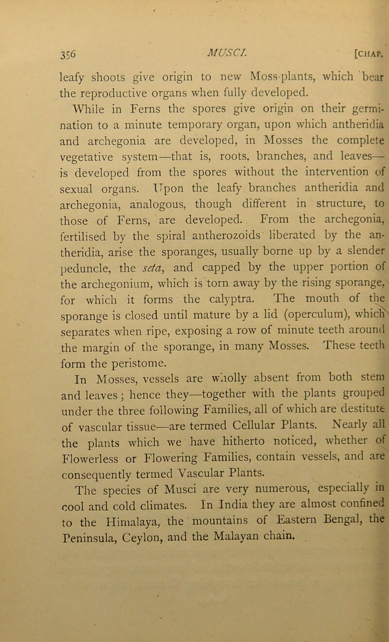 leafy shoots give origin to new Moss-plants, which bear the reproductive organs when fully developed. While in Ferns the spores give origin on their germi- nation to a minute temporary organ, upon which antheridia and archegonia are developed, in Mosses the complete vegetative system—that is, roots, branches, and leaves— is developed from the spores without the intervention of sexual organs. Upon the leafy branches antheridia and archegonia, analogous, though different in structure, to those of Ferns, are developed. From the archegonia, fertilised by the spiral antherozoids liberated by the an- theridia, arise the sporanges, usually borne up by a slender peduncle, the seta, and capped by the upper portion of the archegonium, which is torn away by the rising sporange, for which it forms the calyptra. The mouth of the sporange is closed until mature by a lid (operculum), whicF separates when ripe, exposing a row of minute teeth around the margin of the sporange, in many Mosses. These teeth form the peristome. In Mosses, vessels are wholly absent from both stem and leaves; hence they—together with the plants grouped under the three following Families, all of which are destitute of vascular tissue—are termed Cellular Plants. Nearly all the plants which we have hitherto noticed, whether of Flowerless or Flowering Families, contain vessels, and are consequently termed Vascular Plants. The species of Musci are very numerous, especially in cool and cold climates. In India they are almost confined to the Himalaya, the mountains of Eastern Bengal, the Peninsula, Ceylon, and the Malayan chain.