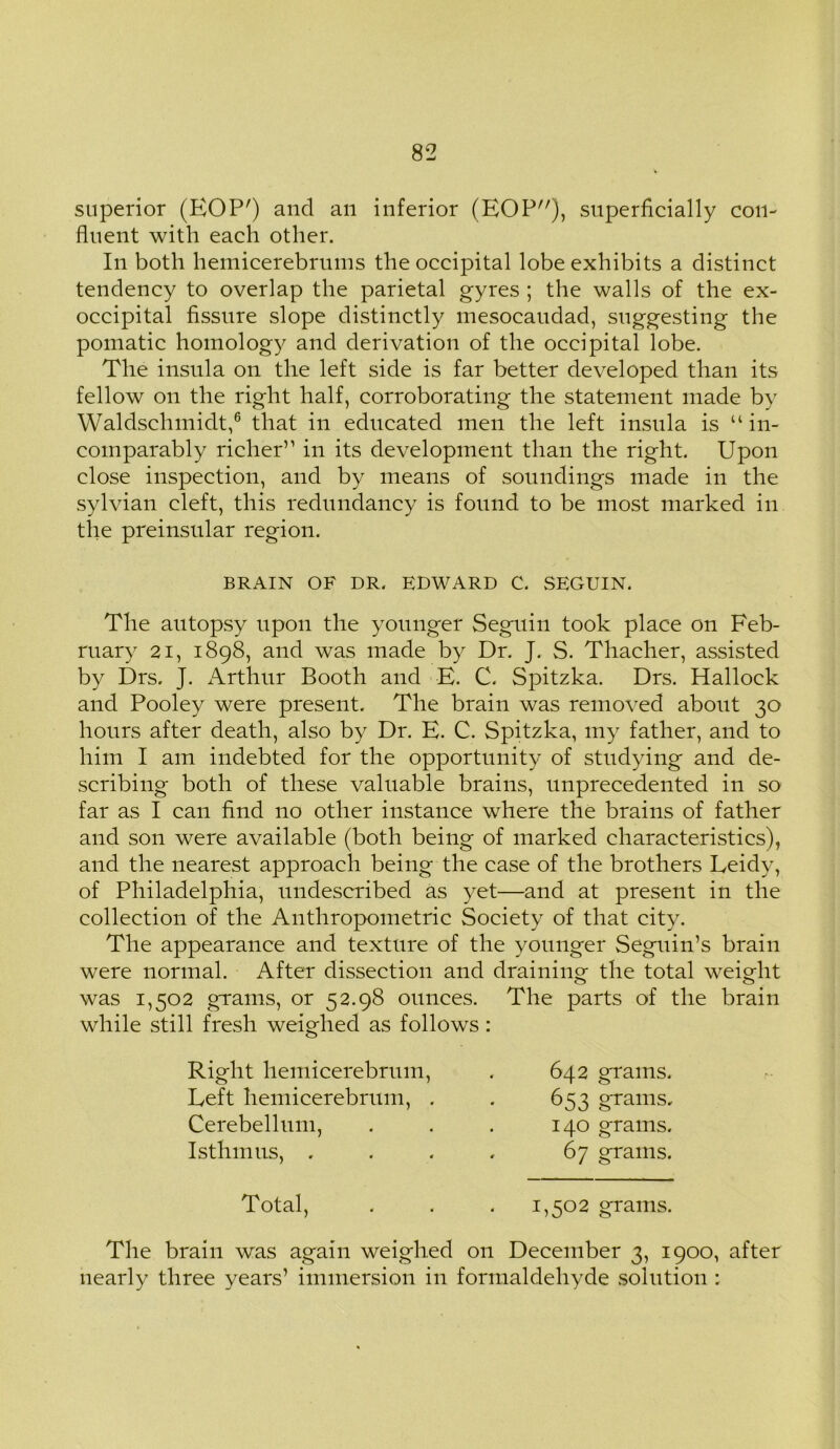 superior (HOP') and an inferior (EOF), superficially con- fluent with each other. In both hemicerebrums the occipital lobe exhibits a distinct tendency to overlap the parietal gyres ; the walls of the ex- occipital fissure slope distinctly mesocaudad, suggesting the pomatic homology and derivation of the occipital lobe. The insula on the left side is far better developed than its fellow on the right half, corroborating the statement made by Waldschmidt,6 that in educated men the left insula is “in- comparably richer” in its development than the right. Upon close inspection, and by means of soundings made in the sylvian cleft, this redundancy is found to be most marked in the preinsular region. BRAIN OF DR. EDWARD C. SEGUIN. The autopsy upon the younger Seguin took place on Feb- ruary 21, 1898, and was made by Dr. J. S. Thacher, assisted by Drs. J. Arthur Booth and E. C. Spitzka. Drs. Hallock and Pooley were present. The brain was removed about 30 hours after death, also by Dr. E. C. Spitzka, my father, and to him I am indebted for the opportunity of studying and de- scribing both of these valuable brains, unprecedented in so far as I can find no other instance where the brains of father and son were available (both being of marked characteristics), and the nearest approach being the case of the brothers Leidy, of Philadelphia, undescribed as yet—and at present in the collection of the Anthropometric Society of that city. The appearance and texture of the younger Seguin’s brain were normal. After dissection and draining- the total weight was 1,502 grams, or 52.98 ounces. The parts of the brain while still fresh weighed as follows: Right hemicerebrum, Left hemicerebrum, . Cerebellum, Isthmus, . 642 grams. 653 grams- 140 grams. 67 grams. Total, 1,502 grams. The brain was again weighed 011 December 3, 1900, after nearly three years’ immersion in formaldehyde solution :