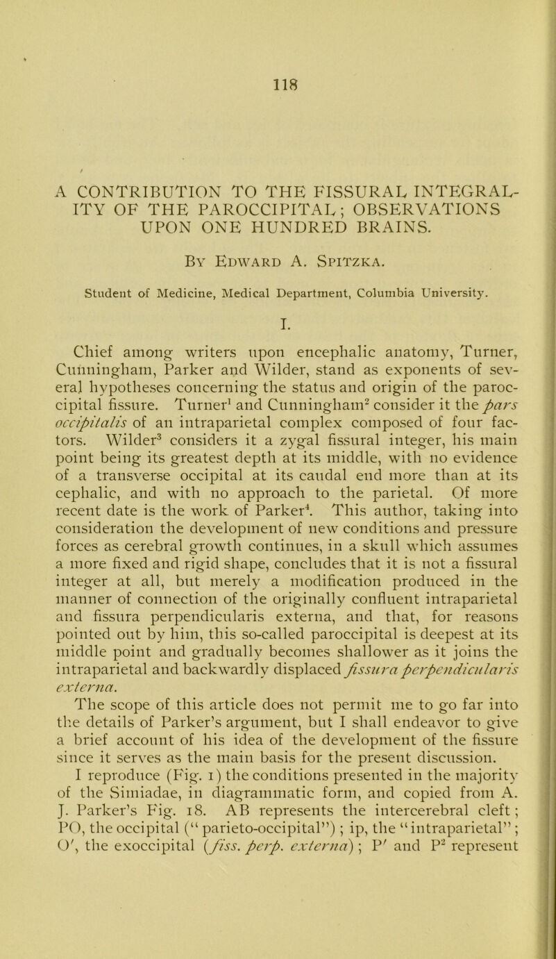 A CONTRIBUTION TO THE FISSURAL INTEGRAL- ITY OF THE PAROCCIPITAL; OBSERVATIONS UPON ONE HUNDRED BRAINS. By Edward A. Spitzka. Student of Medicine, Medical Department, Columbia University. I. Chief among writers upon encephalic anatomy, Turner, Cunningham, Parker and Wilder, stand as exponents of sev- eral hypotheses concerning the status and origin of the paroc- cipital fissure. Turner1 and Cunningham2 consider it the pars occipitalis of an intraparietal complex composed of four fac- tors. Wilder3 considers it a zygal fissural integer, his main point being its greatest depth at its middle, with no evidence of a transverse occipital at its caudal end more than at its cephalic, and with no approach to the parietal. Of more recent date is the work of Parker4. This author, taking into consideration the development of new conditions and pressure forces as cerebral growth continues, in a skull which assumes a more fixed and rigid shape, concludes that it is not a fissural integ'er at all, but merely a modification produced in the manner of connection of the originally confluent intraparietal and fissura perpendicularis externa, and that, for reasons pointed out by him, this so-called paroccipital is deepest at its middle point and gradually becomes shallower as it joins the intraparietal and backwardlv displaced fissura perpendicularis externa. The scope of this article does not permit me to go far into the details of Parker’s argument, but I shall endeavor to give a brief account of his idea of the development of the fissure since it serves as the main basis for the present discussion. I reproduce (Fig', i) the conditions presented in the majority of the Simiadae, in diagrammatic form, and copied from A. J. Parker’s P'ig. 18. AB represents the intercerebral cleft; PO, the occipital (u parieto-occipital”) ; ip, the “intraparietal” ; O', the exoccipital (fiss. perp. externa'); P' and P2 represent