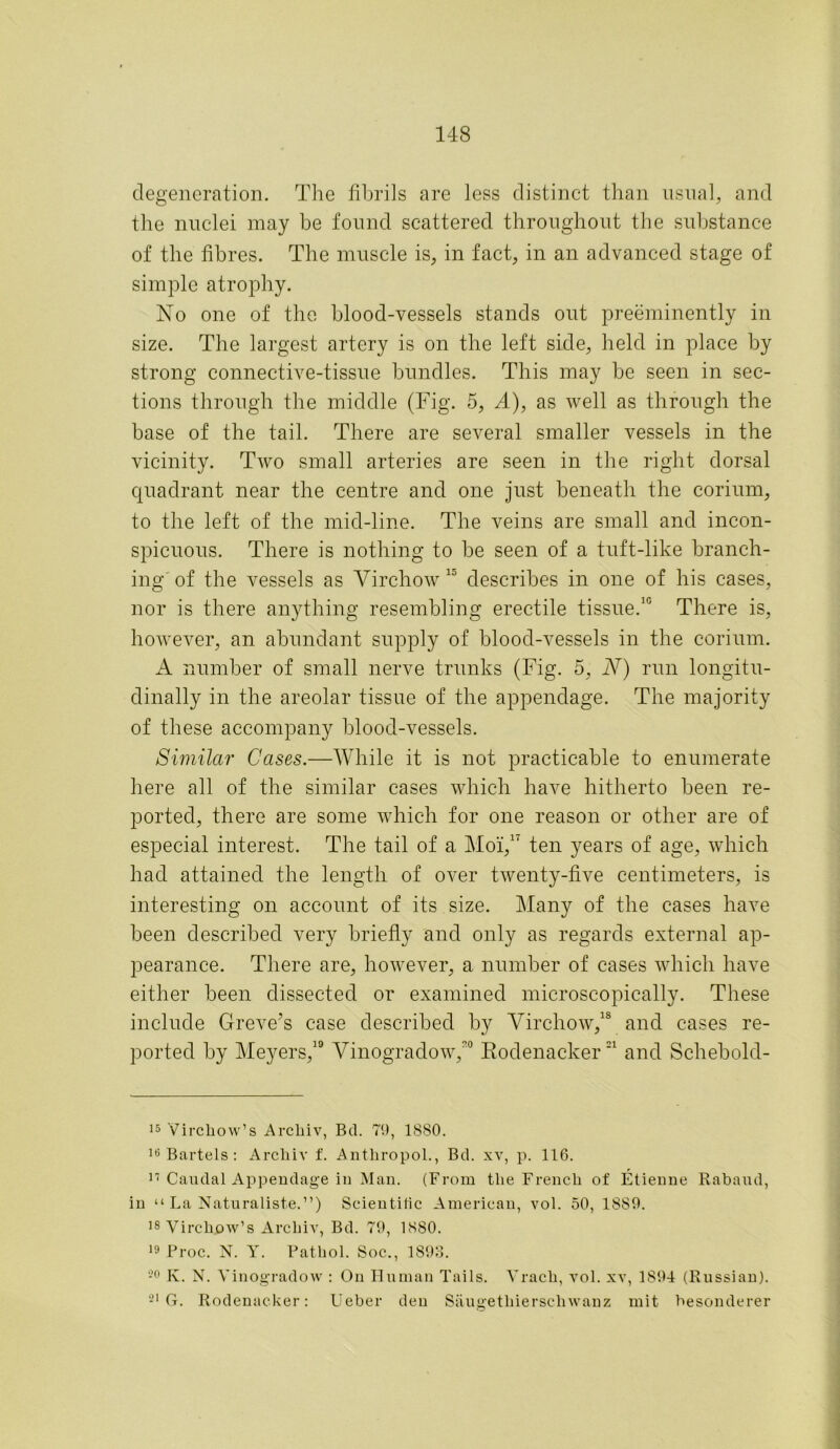 degeneration. The fibrils are less distinct than usual, and the nuclei may be found scattered throughout the substance of the fibres. The muscle is, in fact, in an advanced stage of simple atrophy. No one of the blood-vessels stands out preeminently in size. The largest artery is on the left side, held in place by strong connective-tissue bundles. This may be seen in sec- tions through the middle (Fig. 5, A), as well as through the base of the tail. There are several smaller vessels in the vicinity. Two small arteries are seen in the right dorsal quadrant near the centre and one just beneath the corium, to the left of the mid-line. The veins are small and incon- spicuous. There is nothing to be seen of a tuft-like branch- ing of the vessels as Virchow 13 describes in one of his cases, nor is there anything resembling erectile tissue.10 There is, however, an abundant supply of blood-vessels in the corium. A number of small nerve trunks (Fig. 5, N) run longitu- dinally in the areolar tissue of the appendage. The majority of these accompany blood-vessels. Similar Cases.—While it is not practicable to enumerate here all of the similar cases which have hitherto been re- ported, there are some which for one reason or other are of especial interest. The tail of a Moi,17 ten years of age, which had attained the length of over twenty-five centimeters, is interesting on account of its size. Many of the cases have been described very briefly and only as regards external ap- pearance. There are, however, a number of cases which have either been dissected or examined microscopically. These include Greve’s case described by Virchow,18 and cases re- ported by Meyers,19 Vinogradow,20 Rodenacker21 and Schebold- 15 Virchow’s Archiv, Bd. 79, 1880. 16 Bartels : Archiv f. Anthropol., Bd. xv, p. 116. 17 Caudal Appendage in Man. (From the French of Etienne Rabaud, in “ La Naturaliste.”) Scientific American, vol. 50, 1889. ]S Virchow’s Archiv, Bd. 79, 1880. 19 Proc. N. Y. Pathol. Soc., 1898. 20 K. N. Vinogradow : On Human Tails. Vrach, vol. xv, 1894 (Russian). 21 G. Rodenacker: Ueber den Saugetliiersehwanz mit hesonderer