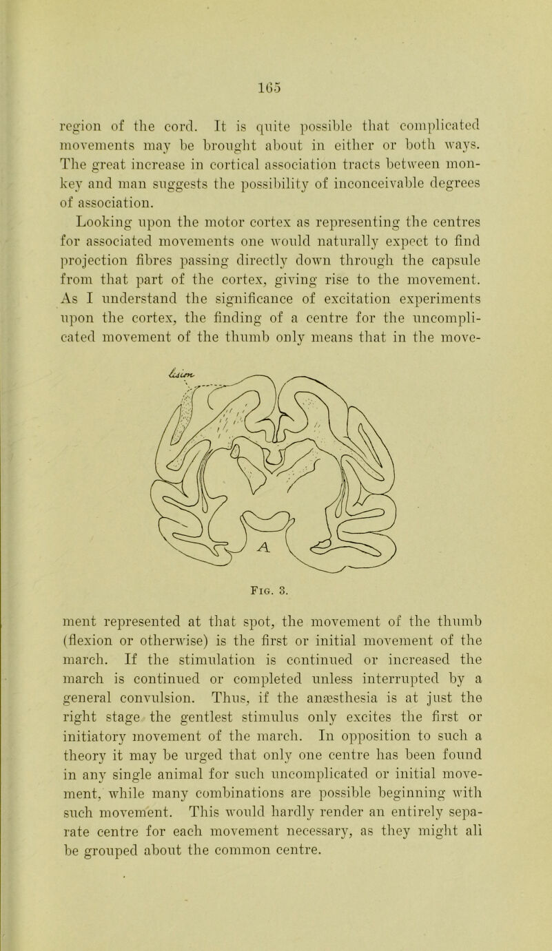 1G5 region of the cord. It is quite possible that complicated movements may be brought about in either or both ways. The great increase in cortical association tracts between mon- key and man suggests the possibility of inconceivable degrees of association. Looking upon the motor cortex as representing the centres for associated movements one would naturally expect to find projection fibres passing directly down through the capsule from that part of the cortex, giving rise to the movement. As I understand the significance of excitation experiments upon the cortex, the finding of a centre for the uncompli- cated movement of the thumb only means that in the move- ment represented at that spot, the movement of the thumb (flexion or otherwise) is the first or initial movement of the march. If the stimulation is continued or increased the march is continued or completed unless interrupted by a general convulsion. Thus, if the anaesthesia is at just the right stage the gentlest stimulus only excites the first or initiatory movement of the march. In opposition to such a theory it may be urged that only one centre has been found in any single animal for such uncomplicated or initial move- ment, while many combinations are possible beginning with such movement. This would hardly render an entirely sepa- rate centre for each movement necessary, as they might all be grouped about the common centre.