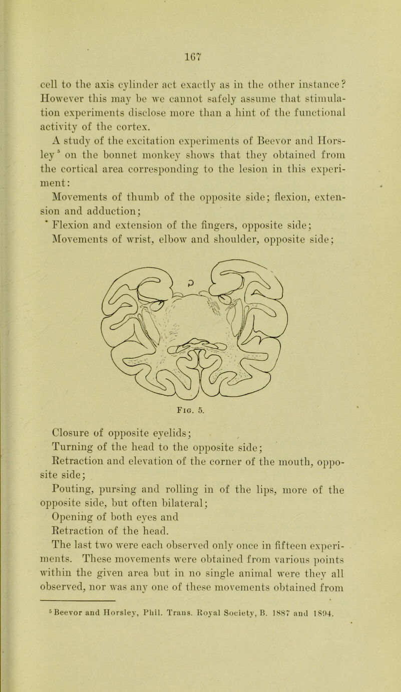 1C7 cell to the axis cylinder act exactly as in the other instance ? However this may be we cannot safely assume that stimula- tion experiments disclose more than a hint of the functional activity of the cortex. A study of the excitation experiments of Beevor and Hors- ley 5 on the bonnet monkey shows that they obtained from the cortical area corresponding to the lesion in this experi- ment : Movements of thumb of the opposite side; flexion, exten- sion and adduction; * Flexion and extension of the fingers, opposite side; Movements of wrist, elbow and shoulder, opposite side; Closure of opposite eyelids; Turning of the head to the opposite side; Retraction and elevation of the corner of the mouth, oppo- site side; Pouting, pursing and rolling in of the lips, more of the opposite side, but often bilateral; Opening of both eyes and Retraction of the head. The last two were each observed only once in fifteen experi- ments. These movements were obtained from various points within the given area but in no single animal were they all observed, nor was any one of these movements obtained from