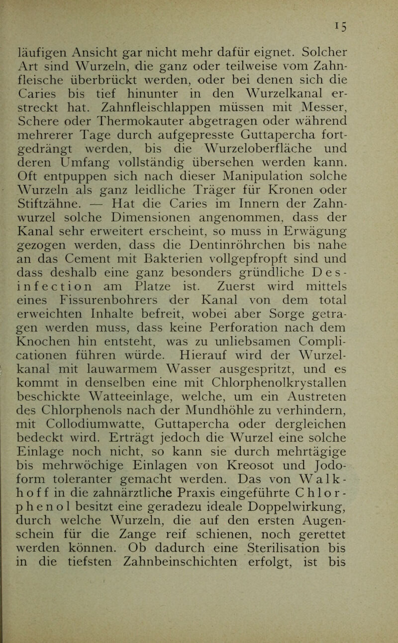 läufigen Ansicht gar nicht mehr dafür eignet. Solcher Art sind Wurzeln, die ganz oder teilweise vom Zahn- fleische überbrückt werden, oder bei denen sich die Caries bis tief hinunter in den Wurzelkanal er- streckt hat. Zahnfleischlappen müssen mit Messer, Schere oder Thermokauter abgetragen oder während mehrerer Tage durch aufgepresste Guttapercha fort- gedrängt werden, bis die Wurzeloberfläche und deren Umfang vollständig übersehen werden kann. Oft entpuppen sich nach dieser Manipulation solche Wurzeln als ganz leidliche Träger für Kronen oder Stiftzähne. — Hat die Caries im Innern der Zahn- wurzel solche Dimensionen angenommen, dass der Kanal sehr erweitert erscheint, so muss in Erwägung gezogen werden, dass die Dentinröhrchen bis nahe an das Gement mit Bakterien vollgepfropft sind und dass deshalb eine ganz besonders gründliche Des- i n f e c t i o n am Platze ist. Zuerst wird mittels eines Fissurenbohrers der Kanal von dem total erweichten Inhalte befreit, wobei aber Sorge getra- gen werden muss, dass keine Perforation nach dem Knochen hin entsteht, was zu unliebsamen Compli- cationen führen würde. Hierauf wird der Wurzel- kanal mit lauwarmem Wasser ausgespritzt, und es kommt in denselben eine mit Chlorphenolkrystallen beschickte Watteeinlage, welche, um ein Austreten des Chlorphenols nach der Mundhöhle zu verhindern, mit Collodiumwatte, Guttapercha oder dergleichen bedeckt wird. Erträgt jedoch die Wurzel eine solche Einlage noch nicht, so kann sie durch mehrtägige bis mehrwöchige Einlagen von Kreosot und Jodo- form toleranter gemacht werden. Das von W a 1 k - hoff in die zahnärztliche Praxis eingeführte Chlor- p h e n o 1 besitzt eine geradezu ideale Doppelwirkung, durch welche Wurzeln, die auf den ersten Augen- schein für die Zange reif schienen, noch gerettet werden können. Ob dadurch eine Sterilisation bis in die tiefsten Zahnbeinschichten erfolgt, ist bis