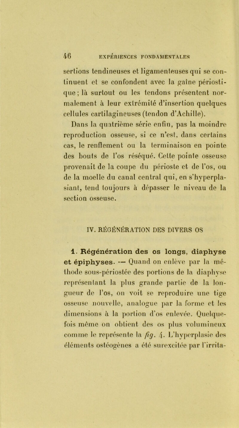 sertions tendineuses et ligamenteuses qui se con- tinuent et se confondent avec la gaine périosti- que ; là surtout ou les tendons présentent nor- malement à leur extrémité d’insertion quelques cellules cartilagineuses (tendon d’Achille). Dans la quatrième série enfin, pas la moindre reproduction osseuse, si ce n’est, dans certains cas, le renflement ou la terminaison en pointe des bouts de l’os réséqué. Cette pointe osseuse provenait de la coupe du périoste et de l’os, ou de la moelle du canal central qui, en s’hyperpla- siant, tend toujours à dépasser le niveau de la section osseuse. IV. RÉGÉNÉRATION DES DIVERS OS 1. Régénération des os longs, diaphyse et épiphyses. — Quand on enlève par la mé- thode sous-périostée des portions de la diaphyse représentant la plus grande partie de la lon- gueur de l’os, on voit se reproduire une tige osseuse nouvelle, analogue par la forme et les dimensions à la portion d’os enlevée. Quelque- fois même on obtient des os plus volumineux comme le représente la fig. [\. L’hyperplasie des éléments ostéogènes a été surexcitée par l'irrita-