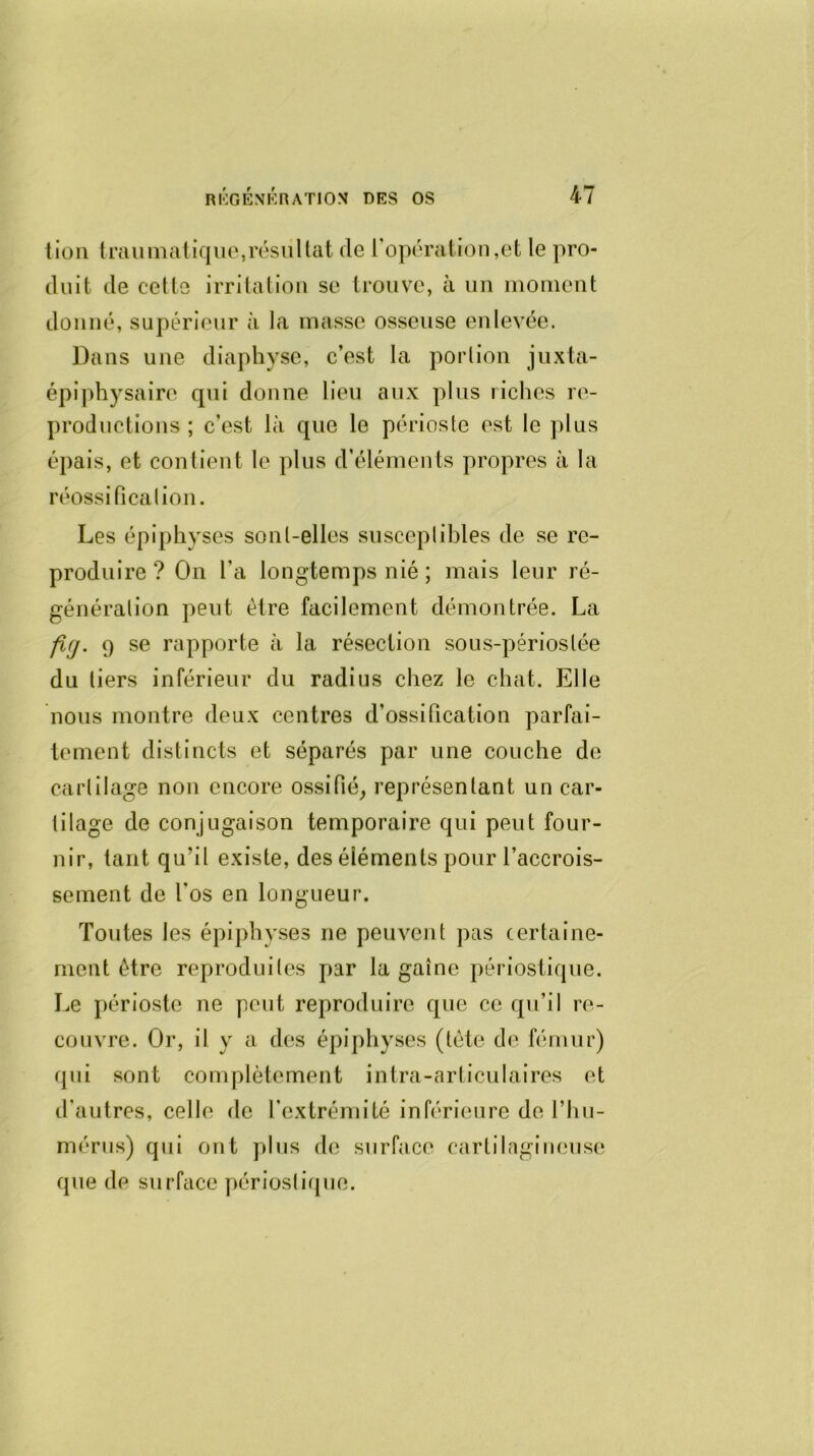 lion traumatique,résultat de l'opération,et le pro- duit de cette irritation se trouve, à un moment donné, supérieur à la masse osseuse enlevée. Dans une diaphyse, c’est la portion juxta- épiphysaire qui donne lieu aux plus riches re- productions ; c’est là que le périoste est le plus épais, et contient le plus d’éléments propres à la réossificalion. Les épiphyses sont-elles susceptibles de se re- produire? On l’a longtemps nié ; mais leur ré- génération peut être facilement démontrée. La fUj. 9 se rapporte à la résection sous-périoslée du tiers inférieur du radius chez le chat. Elle nous montre deux centres d’ossification parfai- tement distincts et séparés par une couche de cartilage non encore ossifié, représentant un car- tilage de conjugaison temporaire qui peut four- nir, tant qu’il existe, des éléments pour l’accrois- sement de l'os en longueur. Toutes les épiphyses ne peuvent pas certaine- ment être reproduites par la gaine périostique. Le périoste ne peut reproduire que ce qu’il re- couvre. Or, il y a des épiphyses (tête de fémur) qui sont complètement intra-articulaires et d’autres, celle de l’extrémité inférieure de l’hu- mérus) qui ont plus de surface cartilagineuse que de surface périostique.