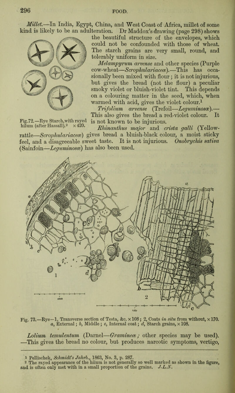 Millet.—In India, Egypt, China, and West Coast of Africa, millet of some kind is likely to be an adulteration. Dr Maddox’s drawing (page 298) shows the beautiful structure of the envelopes, which \ could not be confounded with those of wheat. !- If I The starch grains are very small, round, and 1 \ I tolerably uniform in size. Melampyrum arvense and other species (Purple cow-wheat—Scrophulariacece).—This has occa- sionally been mixed with flour; it is not injurious, but gives the bread (not the flour) a peculiar smoky violet or bluish-violet tint. This depends on a colouring matter in the seed, which, when warmed with acid, gives the violet colour.^ Trifolium arvense (Trefoil—Leguminosce).— This also gives the bread a red-violet colour. It Fig.72.—Rye Starch,with rayed {g not known to be injurious, hilum (afterHassall).^ x420. RUnailihus major and crista galli (Yellow- rattle—Scrophulariacece) gives bread a bluish-black colour, a moist sticky feel, and a disagreeable sweet taste. It is not injurious. Onobrychis sativa (Sainfoin—Leguminosce) has also been used. Fig. 73.—Rye—1, Transverse section of Testa, &c. x 108; 2, Coats in situ from without, x 170. a, External; &, Middle; c, Internal coat; d. Starch grains, x 108. Lolium temulentum (Darnel—Graminece; other species may be used). —This gives the bread no colour, but produces narcotic symptoms, vertigo. 1 Pellischek, Schmidt's Jahrh., 1863, No. 3, p. 287. 2 The rayed appearance of the hilum is not generally so well marked as shown in the figure, and is often only met with in a small proportion of the grains. J.L.N.