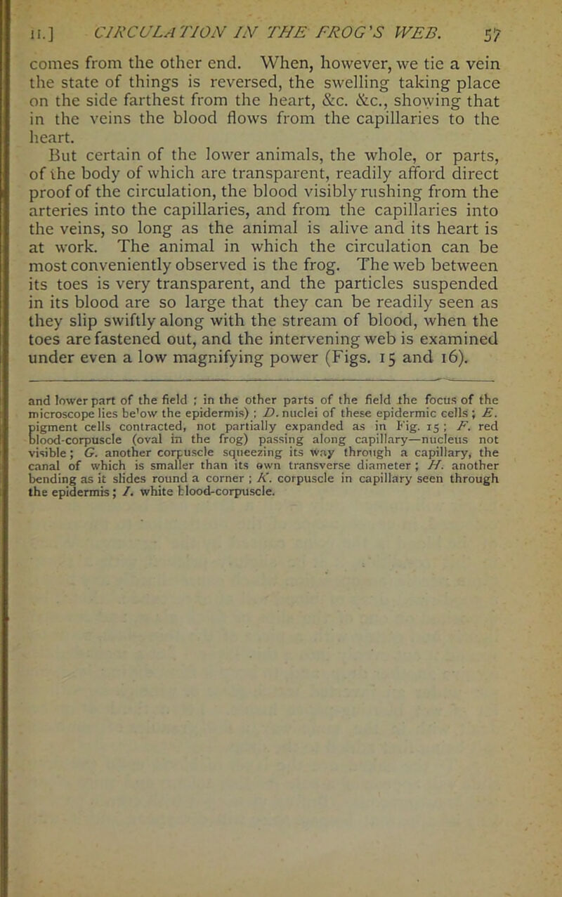 it.] CIRCULATION IN THE FROG'S WEB. s‘7 comes from the other end. When, however, we tie a vein the state of things is reversed, the swelling taking place on the side farthest from the heart, &c. &c., showing that in the veins the blood flows from the capillaries to the heart. But certain of the lower animals, the whole, or parts, of ihe body of which are transparent, readily afford direct proof of the circulation, the blood visibly rushing from the arteries into the capillaries, and from the capillaries into the veins, so long as the animal is alive and its heart is at work. The animal in which the circulation can be most conveniently observed is the frog. The web between its toes is very transparent, and the particles suspended in its blood are so large that they can be readily seen as they slip swiftly along with the stream of blood, when the toes are fastened out, and the intervening web is examined under even a low magnifying power (Figs. 15 and 16). and lower part of the field : in the other parts of the field the focus of the microscope lies be'ow the epidermis) ; D. nuclei of these epidermic cells ; E. pigment cells contracted, not partially expanded as in Fig. 15 ; F. red Dlood-corpuscle (oval in the frog) passing along capillary—nucleus not visible; G. another corpuscle squeezing its way through a capillary, the canal of which is smaller than its own transverse diameter ; H. another bending as it slides round a corner ; K. corpuscle in capillary seen through the epidermis; /. white blood-corpuscle.