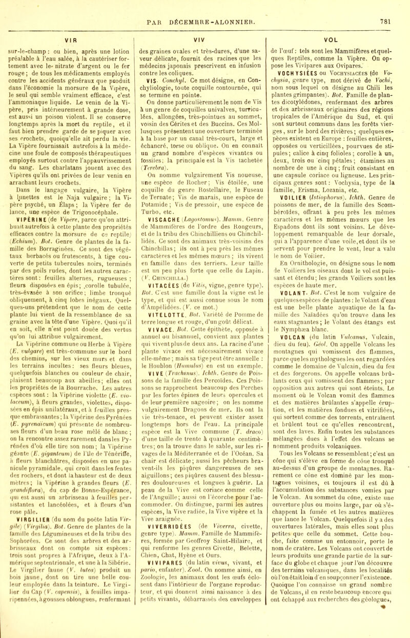 VI R sur-le-champ : ou bien, après une lotion préalable à l’eau salée, à la cautériser for- tement avec le* nitrate d’argent ou le fer rouge ; de tous les médicaments employés contre les accidents généraux que produit dans l’économie la morsure de la Vipère, le seul qui semble vraiment efficace, c’est l’ammoniaque liquide. Le venin de la Vi- père, pris intérieurement à grande dose, est aussi un poison violent. Il se conserve longtemps après la mort du reptile, et il faut bien prendre garde de se piquer avec ses crochets, quoiqu’elle ait perdu la vie. La Vipère fournissait autrefois à la méde- cine une foule de composés thérapeutiques employés surtout contre l’appauvrissement du sang. Les charlatans jouent avec des Vipères qu’ils ont privées de leur venin en arrachant leurs crochets. Dans le langage vulgaire, la Vipère à lunettes est le Naja vulgaire ; la Vi- père psyché, un Élaps ; la Vipère fer de lance, une espèce de Trigonocéphale. VIPÉRINE (de Vipère, parce qu’on attri- buait autrefois à cette plante des propriétés efficaces contre la morsure de ce reptile) (.Echium). Bot. Genre de plantes de la fa- mille des Borraginées. Ce sont des végé- taux herbacés ou frutescents, à tige cou- verte de petits tubercules noirs, terminés par des poils rudes, dont les autres carac- tères sont : feuilles alternes, rugueuses; Heurs disposées en épis; .corolle tubulée, très-évasée à son orifice; limbe tronqué obliquement, à cinq lobes inégaux. Quel- ques-uns prétendent que le nom de cette plante lui vient de la ressemblance de sa graine avec la tête d’une Vipère. Quoi qu’il en soit, elle n’est point douée des vertus qu’on lui attribue vulgairement. La Vipérine commune ou Herbe à Vipère (IL vulgare) est très-commune sur le bord des chemins, sur les vieux murs et dans les terrains incultes: ses fleurs bleues, quelquefois blanches ou couleur de chair, plaisent beaucoup aux abeilles; elles ont les propriétés de la Bourrache. Les autres espèces sont : la Vipérine violette (E. vio- laccum), à fleurs grandes, violettes, dispo- sées en épis unilatéraux, et à feuilles pres- que embrassantes; la Vipérine des Pyrénées (E. pyrenaïeum) qui présente de nombreu- ses fleurs d’un beau rose mêlé de blanc ; on la rencontre assez rarement dansles Py- rénées d’où elle tire son nom ; la Vipérine géante (E. giganteum) de l’tle deTénériffe, à fleurs blanchâtres, disposées en une pa- nicule pyramidale, qui croit dansles fentes des rochers, et dont la hauteur est de deux mètres; la Vipérine à grandes fleurs (E. grandiflora), du cap de Bonne-Espérance, qui est aussi un arbrisseau à feuilles per- sistantes et lancéolées, et à fleurs d’un rose pâle. VIRGILIER fdu nom du poète latin Vir- gile) (Virgilia). Bot. Genre de plantes de la famille des Légumineuses et de la tribu des Sophorées. Ce sont des arbres et des ar- brisseaux dont on compte six espèces: trois sont propres à l’Afrique, deux à l’A- mérique septentrionale, et une à la Sibérie. Le Virgilier faune (V. lutea) produit un bois jaune, dont on tire une belle cou- leur employée dans la teinture. Le Virgi- lier du Cap (K. capemis), à feuilles impa- ripennées,àgousses oblongues, renfermant VIV des graines ovales et très-dures, d’une sa- veur délicate, fournit des racines que les médecins japonais prescrivent en infusion contre les coliques. VIS- Conchyl. Ce mot désigne, en Con- chyliologie, toute coquille contournée, qui se termine en pointe. On donne particulièrement le nom de Vis à un genre de coquilles univalves, turricu- lées, allongées, très-pointues au sommet, voisin des Cérites et des Buccins. Ces Mol- lusques présententune ouverture terminée à la base par un canal très-court, large et échancré, torse ou oblique. On en connaît un grand nombre d’espèces vivantes ou fossiles; la principale est la Vis tachetée (Terebra). On nomme vulgairement Vis noueuse, une espèce de Rocher; Vis étoilée, une coquille du genre Rostellaire, le Fuseau deTernate; Vis de marais, une espèce de Pot.amide ; Vis de pressoir, une espèce de Turbo, etc. V IS C A C H E (Lagostomu*). Mamm. Genre de Mammifères de l’ordre des Rongeurs, et de la tribu des Chinchilliens ou Chinchil- lidés. Ce sont des animaux très-voisins des Chinchillas; ils ont à peu près les mêmes caractères et les mêmes mœurs ; ils vivent en famille dans des terriers. Leur (aille est un peu plus forte que celle du Lapin. (V. Chinchilla.) VITACÉES (de Ft'ffs, vigne, genre type). Ilot. C’est une famille dont la vigne est le type, et qui est aussi connue sous le nom d’Ampélidées. (V. ce mot.) VITE LOTTE. Bot. Variété de Pomme de terre longue et rouge, d’un goût délicat. VIVACE. Bot. Cette épithète, opposée à annuel ou bisannuel, convient aux plantes qui viventplusde deux ans. La racined’une plante vivace est nécessairement vivace elle-même ; mais sa tige peut être annuelle : le Houblon (Humulus) en est un exemple. VIVE (Trachmus). Ichth. Genre de Pois- sons de la famille des Percoïdes. Ces Pois- sons se rapprochent beaucoup des Perches par les fortes épines de leurs opercules et de leur première nageoire; on les nomme vulgairement Dragons de mer. Ils ont la vie très-tenace, et peuvent exister assez longtemps hors de l’eau. La principale espèce est la Vive commune (T. draco) d’une taille de trente à quarante centimè- tres; on la trouve dans le sable, sur les ri- vages de la Méditerranée et de l’Océan. Sa chair est délicate; aussi les pêcheurs bra- vent-ils les piqûres dangereuses de ses aiguillons; ces piqûres causent des blessu- res douloureuses et longues à guérir. La peau de la Vive est coriace comme celle de l’Anguille; aussi on l’écorche pour l’ac- commoder. On distingue, parmi les autres espèces, la Vive radiée, la Vive vipère et la Vive araignée. VI VER RI DÉ ES (de Viverra, civette, genre type). Mamm. Famille de Mammifè- res, formée par Geoffroy Saint-Hilaire, et qui renferme les genres Civette, Belette, Chien, Chat, Hyène et Ours. VIVIPARES (du latin «nus, vivant, et paria, enfanter). Zool. On nomme ainsi, en Zoologie, les animaux dont les œufs éclo- sent dans l’intérieur de l’organe reproduc- teur, et qui donnent ainsi naissance à des petits vivants, débarrassés des enveloppes VOL de l’œuf : tels sont les Mammifères et quel- ques Reptiles, comme la Vipère. On op- pose les Vivipares aux Ovipares.' VOCHYSIÉES ou Vochysiacées (de Fo- chysia, genre type, mot dérivé de Vochi, nom sous lequel on désigne au Chili les plantes grimpantes). Bot. Famille de plan- tes dicotylédones, renfermant des arbres et des arbrisseaux originaires des régions tropicales de l’Amérique du Sud, et qui sont surtout communs dans les forêts vier- ges , sur le bord des rivières ; quelques es- pèces existent en Europe : feuilles entières, opposées ou verticillées, pourvues de sti- pules; calice à cinq folioles ; corolle à un, deux, trois ou cinq pétales ; étamines au nombre de une à cinq ; fruit consistant en une capsule coriace ou ligneuse. Les prin- cipaux genres sont: Vochysia, type de la famille, Erisma, Lozania, etc. VOILIER (Istiophorus). Ichth. Genre de poissons de mer, de la famille des Scom- béroïdes, offrant à peu près les mêmes caractères et les mêmes mœurs que les Espadons dont ils sont voisins. Le déve- loppement remarquable de leur dorsale, qui a l’apparence d’une voile,et dont ils se servent pour prendre le vent, leur a valu le nom de Voilier. En Ornithologie, on désigne sous le nom de Voiliers les oiseaux dont le vol est puis- sant et étendu; les grands Voiliers sont les espèces de haute mer. VOLANT. Bot. C’est le nom vulgaire de quelquesespèces de plantes : le Volant d’eau est une belle plante aquatique de la fa- mille des Naïadées qu’on trouve dans les eaux stagnantes ; le Volant des étangs est le Nymphæa blanc. VOLCAN (du latin Vulcanus, Vulcain, dieu du feu). Géol. On appelle Volcans les montagnes qui vomissent des flammes, parce que les mythologues les ont regardées comme le domaine de Vulcain, dieu du feu et des forgerons. On appelle volcans brû- lants ceux qui vomissent des flammes; par opposition aux autres qui sont éteints. Le moment où le Volcan vomit des flammes et des matières brûlantes s’appelle érup- tion, et les matières fondues et vitrifiées, qui sortent comme des torrents, entraînent et brûlent tout ce qu’elles rencontrent, sont des laves. Enfin toutes les substances mélangées dues à l’effet des volcans se nomment produits volcaniques. Tous les Volcans se ressemblent; c’est un cône qui s’élève en forme de cône tronqué au-dessus d’un groupe de montagnes. Ra- rement ce cône est dominé par les mon- tagnes voisines, et toujours il est dû à l’accumulation des substances vomies par le Volcan. Au sommet du cône, existe une ouverture plus ou moins large, par où s’é- chappent la fumée et les autres matières que lance le Volcan. Quelquefois il y a des ouvertures latérales, mais elles sont plus petites que celle du sommet. Cette bou- che, faite comme un entonnoir, porte le nom de cratère. Les Volcans ont couvert de leurs produits une grande partie de la sur- face du globe etchaque jour l’on découvre des terrains volcaniques, dans les localités où l’on était loin d’en soupçonner l’existence. Quoique l’on connaisse un grand nombre de Volcans, il en reste beaucoup encore qui ont échappé aux recherches des géologue*,