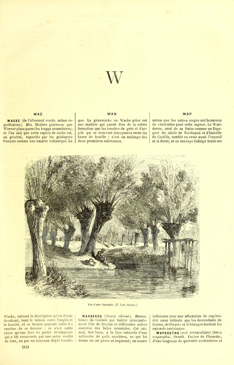 WAC WAN WAP WACKE (de l’allemand icacke, même si- gnification). Min. Matière pierreuse que Werner place parmi les trapps secondaires; et Ton sait que cette espèce de roche est, en général, regardée par les géologues français comme une basalte volcanique, La que. La grauwacke ou Wacke grise est une matière qui parait être de la même formation que les couches de grès et d’ar- gile qui se trouvent interposées entre les bancs de houille : c’est un mélange des deux premières substances. même que les autres singes ont beaucoup de vénération pour cette espèce. Le Wan- derou, orné de sa fraise comme un Espa- gnol du siècle de Ferdinand et d’Isabelle de Castille, semble en avoir aussi l’orgueil et la fierté, et ce sauvage hidalgo traite ses Vue d’une Saussaie. (K. l’art. Saule.) Wacke, suivant la description qu’en donne Brochant, tient le milieu entre l’argile et le basalte, et se trouve souvent entre les couches de ce dernier : ce n'est autre chose qu’une lave en partie décomposée l qui a été recouverte par une autre coulée de lave, ou par un nouveau dépôt, basalti- WANDF.flOU (Shnia silcnus). Mamm. Genre de Guenon qui habite principale- ment l’ile de Ceylan et différentes autres contrées des Indes orientales. Cet ani- mal, fort beau, a la face entourée d’une collerette de poils noirâtres, ce qui lui donne un air grave et imposant; on assure inférieurs avec une affectation de supério- rité aussi ridicule que les descendants de Cortez, dePizarre et d’Almagro traitent les naturels américains. WAPACUTHU (mot vernaculaire) (Strix wapacuthu). Ornith. Espèce de Chouette, d’une longueur de quarante centimètres et 09