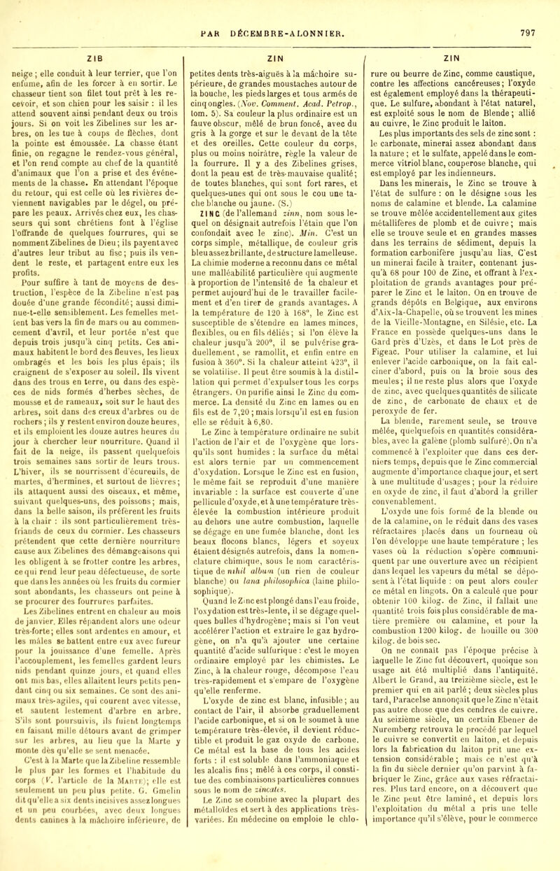 ZIB neige ; elle conduit à leur terrier, que l’on enfume, afin de les forcer à en sortir. Le chasseur tient son filet tout prêt à les re- cevoir, et son chien pour les saisir : il les attend souvent ainsi pendant deux ou trois jours. Si on voit les Zibelines sur les ar- bres, on les tue à coups de flèches, dont la pointe est émoussée. La chasse étant finie, on regagne le rendez-vous général, et l’on rend compte au chef de la quantité d’animaux que l’on a prise et des événe- ments de la chasse. En attendant l’époque du retour, qui est celle où les rivières de- viennent navigables par le dégel, ou pré- pare les peaux. Arrivés chez eux, les chas- seurs qui sont chrétiens font à l’église l’offrande de quelques fourrures, qui se nomment Zibelines de Dieu; ils payent avec d’autres leur tribut au fisc ; puis ils ven- dent le reste, et partagent entre eux les profits. Pour suffire à tant de moyens de des- truction, l’espèce de la Zibeline n’est pas douée d’une grande fécondité; aussi dimi- nue-t-elle sensiblement. Les femelles met- tent bas vers la fin de mars ou au commen- cement d’avril, et leur portée n’est que depuis trois jusqu’à cinq petits. Ces ani- maux habitent le bord des fleuves, les lieux ombragés et les bois les plus épais; ils craignent de s’exposer au soleil. Ils vivent dans des trous en terre, ou dans des espè- ces de nids formés d’herbes sèches, de mousse et de rameaux, soit sur le haut des arbres, soit dans des creux d’arbres ou de rochers ; ils y restent environ douze heures, et ils emploient les douze autres heures du jour à chercher leur nourriture. Quand il fait de la neige, ils passent quelquefois trois semaines sans sortir de leurs trous. L’hiver, ils se nourrissent d’écureuils, de martes, d’hermines, et surtout de lièvres; ils attaquent aussi des oiseaux, et même, suivant quelques-uns, des poissons; mais, dans la belle saison, ils préfèrent les fruits à la chair : ils sont particulièrement très- friands de ceux du cormier. Les chasseurs prétendent que cette dernière nourriture cause aux Zibelines des démangeaisons qui les obligent à se frotter contre les arbres, ce qui rend leur peau défectueuse, de sorte que dans les années où les fruits du cormier sont abondants, les chasseurs ont peine à se procurer des fourrures parfaites. Les Zibelines entrent en chaleur au mois de janvier. Elles répandent alors une odeur très-forte; elles sont ardentes en amour, et les mâles se battent entre eux avec fureur pour la jouissance d’une femelle. Après l’accouplement, les femelles gardent leurs nids pendant quinze jours, et quand elles ont mis bas, elles allaitent leurs petits pen- dant cinq ou six semaines. Ce sont des ani- maux très-agiles, qui courent avec vitesse, et sautent lestement d’arbre en arbre. S’ils sont poursuivis, ils fuient longtemps en faisant mille détours avant de grimper sur les arbres, au lieu que la Marte y monte dès qu’elle se sent menacée. C’est à la Marte que laZibeline ressemble le plus par les formes et l’habitude du corps (K. l’article de la Mante); elle est seulement un peu plus petite. G. Gmelin dit qu’elle a six dents incisives assez longues et un peu courbées, avec deux longues dents canines à la mâchoire inférieure, de ZIN petites dents très-aiguës à la mâchoire su- périeure, de grandes moustaches autour de la bouche, les pieds larges et tous armés de cinq ongles. (Nov. Comment. Acad. Petrop., lom. 5). Sa couleur la plus ordinaire est un fauve obscur, mêlé de brun foncé, avec du gris à la gorge et sur le devant de la tête et des oreilles. Cette couleur du corps, plus ou moins noirâtre, règle la valeur de la fourrure. Il y a des Zibelines grises, dont la peau est de très-mauvaise qualité; de toutes blanches, qui sont fort rares, et quelques-unes qui ont sous le cou une ta- che blanche ou jaune. (S.) ZI NC (de l’allemand zinn, nom sous le- quel on désignait autrefois l’étain que l’on confondait avec le zinc). Min. C’est un corps simple, métallique, de couleur gris bleu assez brillante, de structure lamelleuse. La chimie moderne a reconnu dans ce métal une malléabilité particulière qui augmente à proportion de l’intensité de la chaleur et permet aujourd'hui de le travailler facile- ment et d’en tirer de grands avantages. A la température de 120 à 168°, le Zinc est susceptible de s’étendre en lames minces, flexibles, ou en fils déliés; si l’on élève la chaleur jusqu’à 200°, il se pulvérise gra- duellement, se ramollit, et enfin entre en fusion à 360°. Si la chaleur atteint 423, il se volatilise. Il peut être soumis à la distil- lation qui permet d’expulser tous les corps étrangers. On purifie ainsi le Zinc du com- merce. La densité du Zinc en lames ou en fils est de 7,20 ; mais lorsqu’il est en fusion elle se réduit à 6,80. Le Zinc à température ordinaire ne subit l’action de l’air et de l’oxygène que lors- qu’ils sont humides : la surface du métal est alors ternie par un commencement d’oxydation. Lorsque le Zinc est en fusion, le même fait se reproduit d’une manière invariable : la surface est couverte d’une pellicule d’oxyde, et à une température très- élevée la combustion intérieure produit au dehors une autre combustion, laquelle se dégage en une fumée blanche, dont les beaux flocons blancs, légers et soyeux étaient désignés autrefois, dans la nomen- clature chimique, sous le nom caractéris- tique de nthil album (un rien de couleur blanche) ou lana pkilosophica (laine philo- sophique). Quand le Zinc estplongé dans l’eau froide, l’oxydation esttrès-lente, il se dégage quel- ques bulles d’hydrogène; mais si l’on veut accélérer l’action et extraire le gaz hydro- gène, on n’a qu’à ajouter une certaine quantité d’acide sulfurique : c’est le moyen ordinaire employé par les chimistes. Le Zinc, à la chaleur rouge, décompose l’eau très-rapidement et s’empare de l’oxygène qu’elle renferme. L’oxyde de zinc est blanc, infusible; au contact de l’air, il absorbe graduellement l’acide carbonique, et si on le soumet à une température très-élevée, il devient réduc- tible et produit le gaz oxyde de carbone. Ce métal est la base de tous les acides forts : il est soluble dans l’ammoniaque et les alcalis fins; mêlé à ces corps, il consti- tue des combinaisons particulières connues sous le nom de zincates. Le Zinc se combine avec la plupart des métalloïdes et sert à des applications très- variées. En médecine on emploie le chlo- ZIN rure ou beurre de Zinc, comme caustique, contre les affections cancéreuses; l’oxyde est également employé dans la thérapeuti- que. Le sulfure, abondant à l’état naturel, est exploité sous le nom de Blende ; allié au cuivre, le Zinc produit le laiton. Les plus importants des sels de zinc sont : le carbonate, minerai assez abondant dans la nature ; et le sulfate, appelé dans le com- merce vitriol blanc, couperose blanche, qui est employé par les indienneurs. Dans les minerais, le Zinc se trouve à l’état de sulfure : on le désigne sous les noms de calamine et blende. La calamine se trouve mêlée accidentellement aux gites métallifères de plomb et de cuivre; mais elle se trouve seule et en grandes masses dans les terrains de sédiment, depuis la formation carbonifère jusqu’au lias. C’est un minerai facile à traiter, contenant jus- qu’à 68 pour 100 de Zinc, et offrant à l’ex- ploitation de grands avantages pour pré- parer le Zinc et le laiton. On en trouve de grands dépôts en Belgique, aux environs d’Aix-la-Chapelle, où se trouvent les mines de la Vieille-Montagne, en Silésie, etc. La France en possède quelques-uns dans le Gard près d’Uzès, et dans le Lot près de Figeac. Pour utiliser la calamine, et lui enlever l’acide carbonique, on la fait cal- ciner d’abord, puis on la broie sous des meules; il ne reste plus alors que l’oxyde de zinc, avec quelques quantités de silicate de zinc, de carbonate de chaux et de peroxyde de fer. La blende, rarement seule, se trouve mêlée, quelquefois en quantités considéra- bles, avec la galène (plomb sulfuré).On n’a commencé à l’exploiter que dans ces der- niers temps, depuis que le Zinc commercial augmente d’importance chaque jour, et sert à une multitude d’usages; pour la réduire en oxyde de zinc, il faut d’abord la griller convenablement. L’oxyde une fois formé de la blende ou de la calamine, on le réduit dans des vases réfractaires placés dans un fourneau où l’on développe une haute température ; les vases où la réduction s’opère communi- quent par une ouverture avec un récipient dans lequel les vapeurs du métal se dépo- sent à l’état liquide : on peut alors couler ce métal en lingots. On a calculé que pour obtenir 100 kilog. de Zinc, il fallait une quantité trois fois plus considérable de ma- tière première ou calamine, et pour la combustion 1200 kilog. de houille ou 300 kilog. de bois sec. On ne connaît pas l’époque précise à laquelle le Zinc fut découvert, quoique son usage ait été multiplié dans l’antiquité. Albert le Grand, au treizième siècle, est le premier qui en ait parlé; deux siècles plus tard, Paracelse annonçait que le Zinc n’était pas autre chose que des cendres de cuivre. Au seizième siècle, un certain Ebener de Nuremberg retrouva le procédé par lequel le cuivre se convertit en laiton, et depuis lors la fabrication du laiton prit une ex- tension considérable ; mais ce n’est qu’à la fin du siècle dernier qu’on parvint à fa- briquer le Zinc, grâce aux vases réfractai- res. Plus tard encore, on a découvert que le Zinc peut être laminé, et depuis lors l’exploitation du métal a pris une telle importance qu’il s’élève, pour le commerce