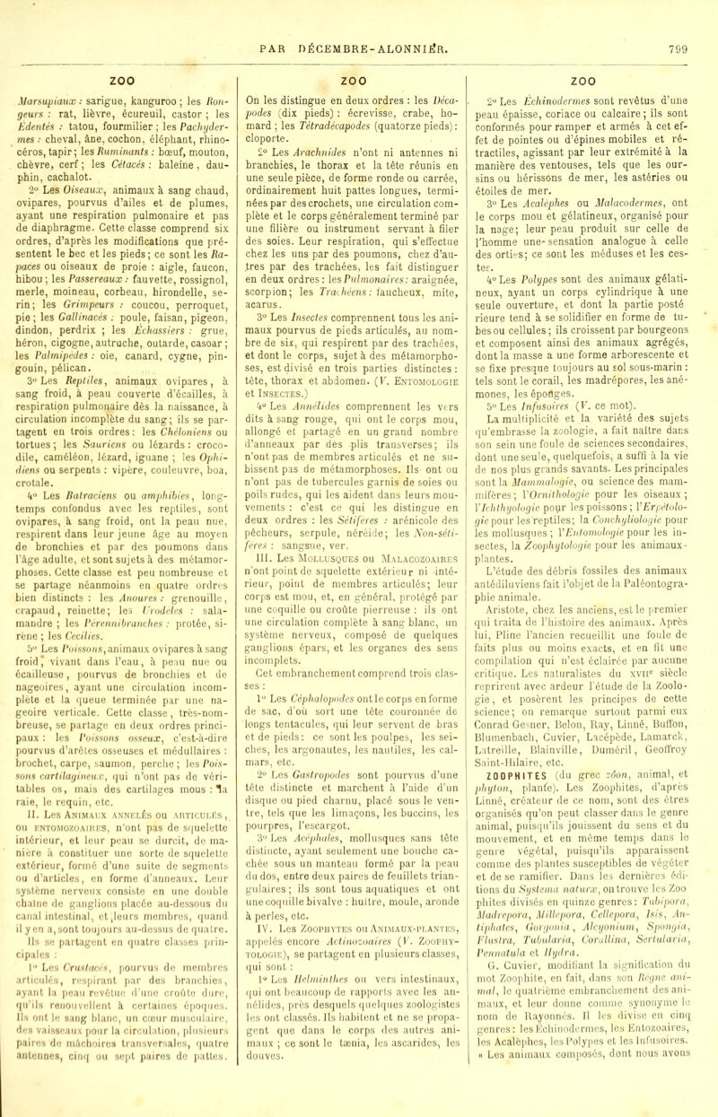 ZOO Marsupiaux : sarigue, kanguroo ; les Ron- geurs : rat, lièvre, écureuil, castor ; les Edentés : tatou, fourmilier ; les Pachyder- mes ■■ cheval, âne, cochon, éléphant, rhino- céros, tapir; les Ruminants : bœuf, mouton, chèvre, cerf ; les Cétacés : haleine, dau- phin, cachalot. 2° Les Oiseaux, animaux à sang chaud, ovipares, pourvus d’ailes et de plumes, ayant une respiration pulmonaire et pas de diaphragme. Cette classe comprend six ordres, d’après les modifications que pré- sentent le bec et les pieds; ce sont les Ra- paces ou oiseaux de proie : aigle, faucon, hibou ; les Passereaux : fauvette, rossignol, merle, moineau, corbeau, hirondelle, se- rin; les Grimpeurs : coucou, perroquet, pie; les Gallinacés ; poule, faisan, pigeon, dindon, perdrix ; les Échassiers : grue, héron, cigogne, autruche, outarde, casoar ; les Palmipèdes : oie, canard, cygne, pin- gouin, pélican. 3° Les Reptiles, animaux ovipares, à sang froid, à peau couverte d’écailles, à respiration pulmonaire dès la naissance, à circulation incomplète du sang; ils se par- tagent en trois ordres : les Chéloniens ou tortues ; les Sauriens ou lézards : croco- dile, caméléon, lézard, iguane ; les Ophi- diens ou serpents : vipère, couleuvre, boa, crotale. 4° Les Batraciens ou amphibies, long- temps confondus avec les reptiles, sont ovipares, k sang froid, ont la peau nue, respirent dans leur jeune âge au moyen de bronchies et par des poumons dans l’âge adulte, et sont sujets à des métamor- phoses. Cette classe est peu nombreuse et se partage néanmoins en quatre ordres bien distincts : les Anoures : grenouille, crapaud, reinette ; les Urodèlcs : sala- mandre ; les Pérennibranches : protée, si- rène ; les Cecilies. 5U Les Poissons, animaux ovipares à sang froid j vivant dans l’eau, à peau nue ou écailleuse, pourvus de bronchies et de nageoires, ayant une circulation incom- plète et la queue terminée par une na- geoire verticale. Cette classe, très-nom- breuse, se partage en deux ordres princi- paux : les Poissons osseux, c’est-à-dire pourvus d’arôtes osseuses et médullaires : brochet, carpe, saumon, perche ; les Pois- sons cartilagineux, qui n’ont pas de véri- tables os, mais des cartilages mous : ^a raie, le requin, etc. II. Les Animaux annelés ou articulés, ou entomozoaip.es, n’ont pas de squelette intérieur, et leur peau se durcit, de ma- nière à constituer une sorte de squelette extérieur, formé d’une suite de segments ou d’articles, en forme d’anneaux. Leur système nerveux consiste en une double chaine de ganglions placée au-dessous du canal intestinal, et [leurs membres, quand il yen a,sont toujours au-dessus de quatre. Ils se partagent en quatre classes prin- cipales : 1° Les Crustacés, pourvus de membres articulés, respirant par des branchies, ayant la peau revêtue d’une croûte dure, qu’ils renouvellent à certaines époques. Ils ont le sang blanc, un cœur musculaire, des vaisseaux pour la circulation, plusieurs paires de mâchoires transversales, quatre antennes, cinq ou sept paires de pattes. ZOO On les distingue en deux ordres : les Déca- podes (dix pieds) : écrevisse, crabe, ho- mard ; les Tétradécapodes (quatorze pieds) : cloporte. 2° Les Arachnides n’ont ni antennes ni branchies, le thorax et la tête réunis en une seule pièce, de forme ronde ou carrée, ordinairement huit pattes longues, termi- nées par des crochets, une circulation com- plète et le corps généralement terminé par une filière ou instrument servant à filer des soies. Leur respiration, qui s’effectue chez les uns par des poumons, chez d’au- .tres par des trachées, les fait distinguer en deux ordres: les Pulmonaires: araignée, scorpion; les Traihéens: faucheux, mite, acarus. 3° Les Insectes comprennent tous les ani- maux pourvus de pieds articulés, au nom- bre de six, qui respirent par des trachées, et dont le corps, sujet à des métamorpho- ses, est divisé en trois parties distinctes : tète, thorax et abdomen. (F. Entomologie et Insectes.) 4° Les Annélides comprennent les vers dits à sang rouge, qui ont le corps mou, allongé et partagé en un grand nombre d’anneaux par des plis transverses; ils n’ont pas de membres articulés et ne su- bissent pas de métamorphoses. Ils ont ou n’ont pas de tubercules garnis de soies ou poils rudes, qui les aident dans leurs mou- vements : c’est ce qui les distingue en deux ordres : les Sétifères ; arénicole des pêcheurs, serpule, néréide; les Non-séti- fères : sangsue, ver. III. Les Mollusques ou Malacozoaires n’ont point de squelette extérieur ni inté- rieur, point de membres articulés; leur corps est mou, et, en général, protégé par une coquille ou croûte pierreuse : ils ont une circulation complète à sang blanc, un système nerveux, composé de quelques ganglions épars, et les organes des sens incomplets. Cet embranchement comprend trois clas- ses : 1 Les Céphalopodes ont le corps en forme de sac, d’où sort une tête couronnée de longs tentacules, qui leur servent de bras et de pieds: ce sont les poulpes, les sei- ches, les argonautes, les nautiles, les cal- mars, etc. 2° Les Gastropodes sont pourvus d’une tête distincte et marchent à l’aide d’un disque ou pied charnu, placé sous le ven- tre, tels que les limaçons, les buccins, les pourpres, l’escargot. 3° Les Acéphales, mollusques sans tête distincte, ayant seulement une bouche ca- chée sous un manteau formé par la peau du dos, entre deux paires de feuillets trian- gulaires ; ils sont tous aquatiques et ont une coquille bivalve : huître, moule, aronde à perles, etc. IV. Les Zoophytes ou Animaux-plantes, appelés encore Actinozoaires (F. Zoophy- tologie), se partagent en plusieurs classes, qui sont : 1° Les Helminthes ou vers intestinaux, qui ont beaucoup de rapports avec les an- nélides, près desquels quelques zoologistes les ont classés. Ils habitent et ne se propa- gent que dans le corps des autres ani- maux ; ce sont le tænia, les ascarides, les douves. ZOO 2° Les Échinodermes sont revêtus d’une peau épaisse, coriace ou calcaire; ils sont conformés pour ramper et armés à cet ef- fet de pointes ou d’épines mobiles et ré- tractiles, agissant par leur extrémité à la manière des ventouses, tels que les our- sins ou hérissons de mer, les astéries ou étoiles de mer. 3° Les Acalèphes ou Malacodermes, ont le corps mou et gélatineux, organisé pour la nage; leur peau produit sur celle de l’homme une-sensation analogue à celle des orties; ce sont les méduses et les ces- tes. 4° Les Polypes sont des animaux gélati- neux, ayant un corps cylindrique à une seule ouverture, et dont la partie posté rieure tend à se solidifier en forme de tu- bes ou cellules ; ils croissent par bourgeons et composent ainsi des animaux agrégés, dont la masse a une forme arborescente et se fixe presque toujours au sol sous-marin : tels sont le corail, les madrépores, les ané- mones, les éportges. 5° Les Infusoires (F. ce mot). La multiplicité et la variété des sujets qu’embrasse la zoologie, a fait naitre dans son sein une foule de sciences secondaires, dont une seule, quelquefois, a suffi à la vie de nos plus grands savants. Les principales sont la Mammalogie, ou science des mam- mifères ; VOrnithologie pour les oiseaux ; l’Ichthyologie pour les poissons ; Y Erpétolo- gie pour les'reptiles; la Conchyliologie pour les mollusques ; Y Entomologie pour les in- sectes, la Zoophytologie pour les animaux- plantes. L’étude des débris fossiles des animaux antédiluviens fait l’objet de la Paléontogra- phie animale. Aristote, chez les anciens, est le premier qui traita de l’histoire des animaux. Après lui, Pline l’ancien recueillit une foule de faits plus ou moins exacts, et en fit une compilation qui n’est éclairée par aucune critique. Les naturalistes du xvne siècle reprirent avec ardeur l’étude de la Zoolo- gie , et posèrent les principes de cette science ; on remarque surtout parmi eux Conrad Gesner, Belon, Ray, Linné, Buffon, Blumenbach, Cuvier, Lacépède, Lamarck, Latreille, Blainville, Duméril, Geoffroy Saint-Iiilaire, etc. ZOO PH 1T ES (du grec zôon, animal, et phyton, plante). Les Zoophites, d’après Linné, créateur de ce nom, sont des êtres organisés qu’on peut classer dans le genre animal, puisqu’ils jouissent du sens et du mouvement, et en même temps dans le genre végétal, puisqu’ils apparaissent comme des plantes susceptibles de végéter et de se ramifier. Dans les dernières édi- tions du Systema naturæ, on trouve les Zoo phites divisés en quinze genres: Tubipora, Madrepora, Millepora, Cellepora, Isis, An- tiphates, Gorgonia, Alcyonium, Spongia, Fluslra, Tubularia, Corullina, Sertularia, Pennatula et Ilydra. G. Cuvier, modifiant la signification du mot Zoophite, en fait, dans son Règne ani- mal, le quatrième embranchement des ani- maux, et leur donne comme synonyme le nom de Rayonnés. Il les divise en cinq genres: les Échinodermes, les Entozoaires, les Acalèphes, les Polypes et les Infusoires. « Les animaux composés, dont nous avons
