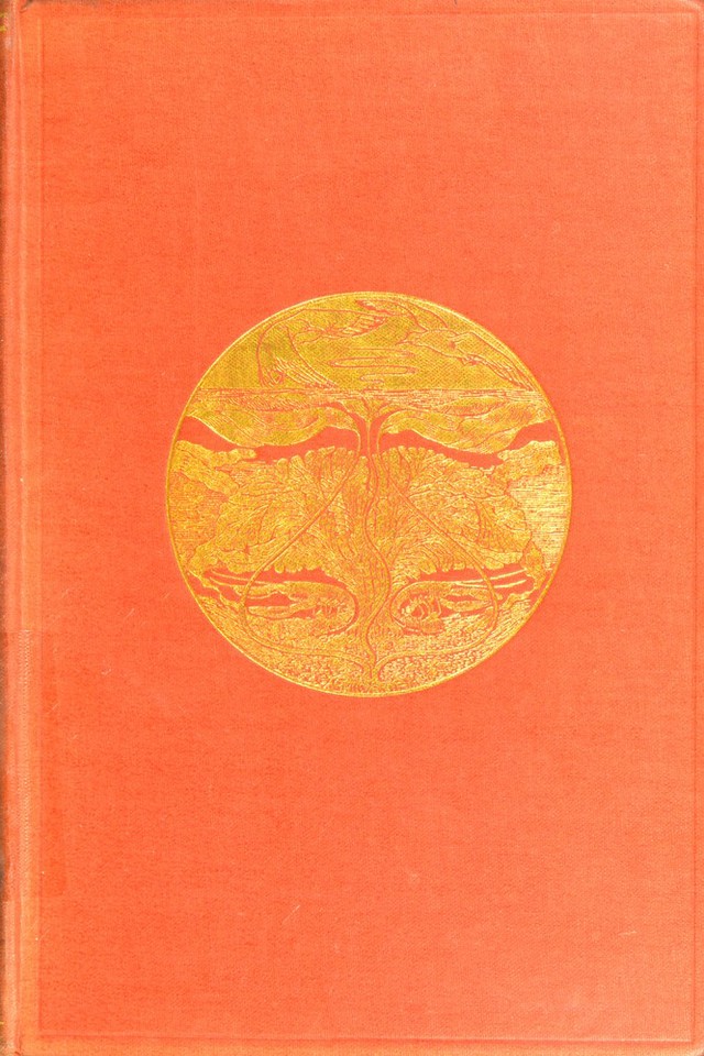 No text description is available for this image